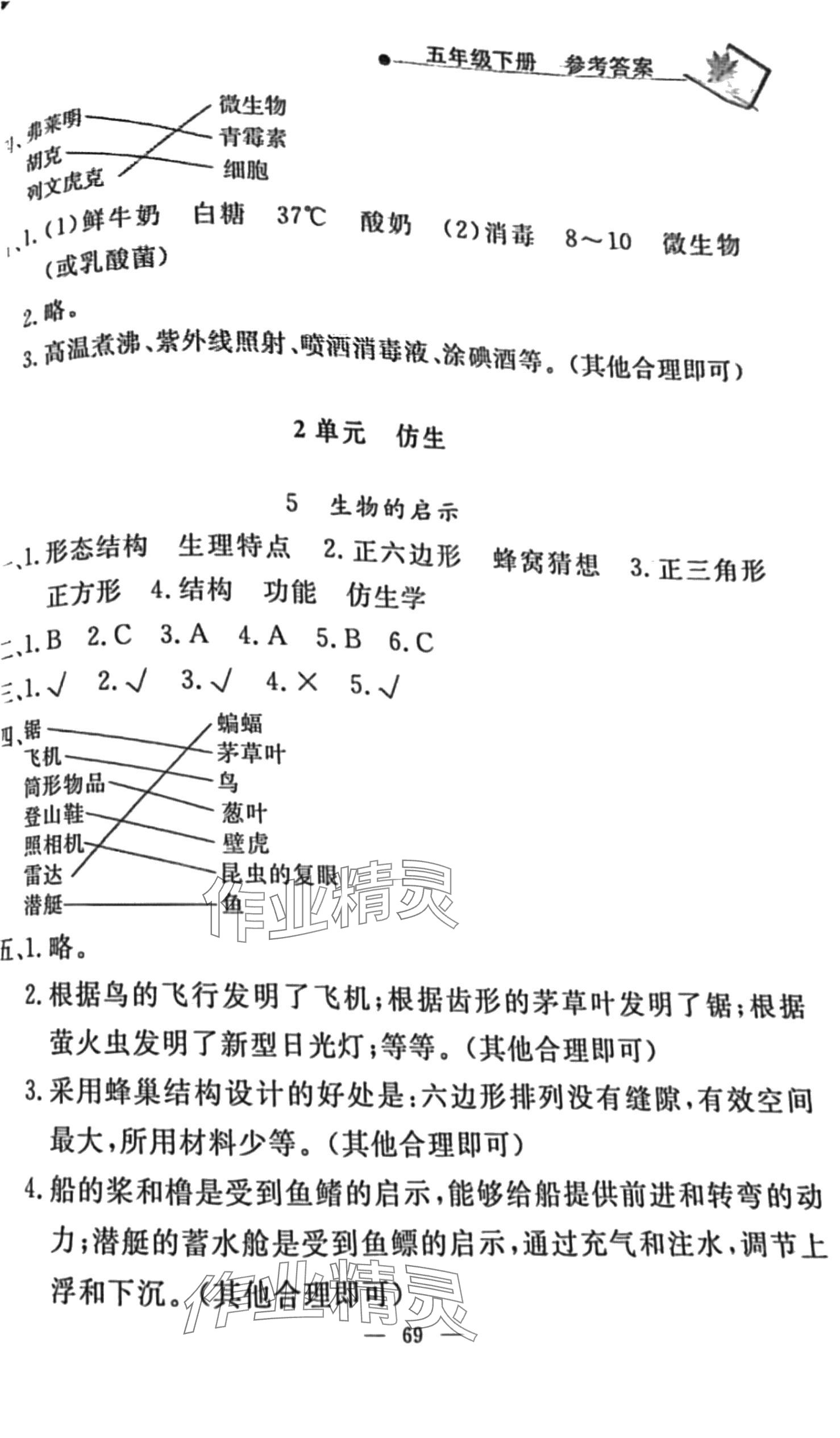 2024年同步练习册山东科学技术出版社五年级下册苏教版 第3页