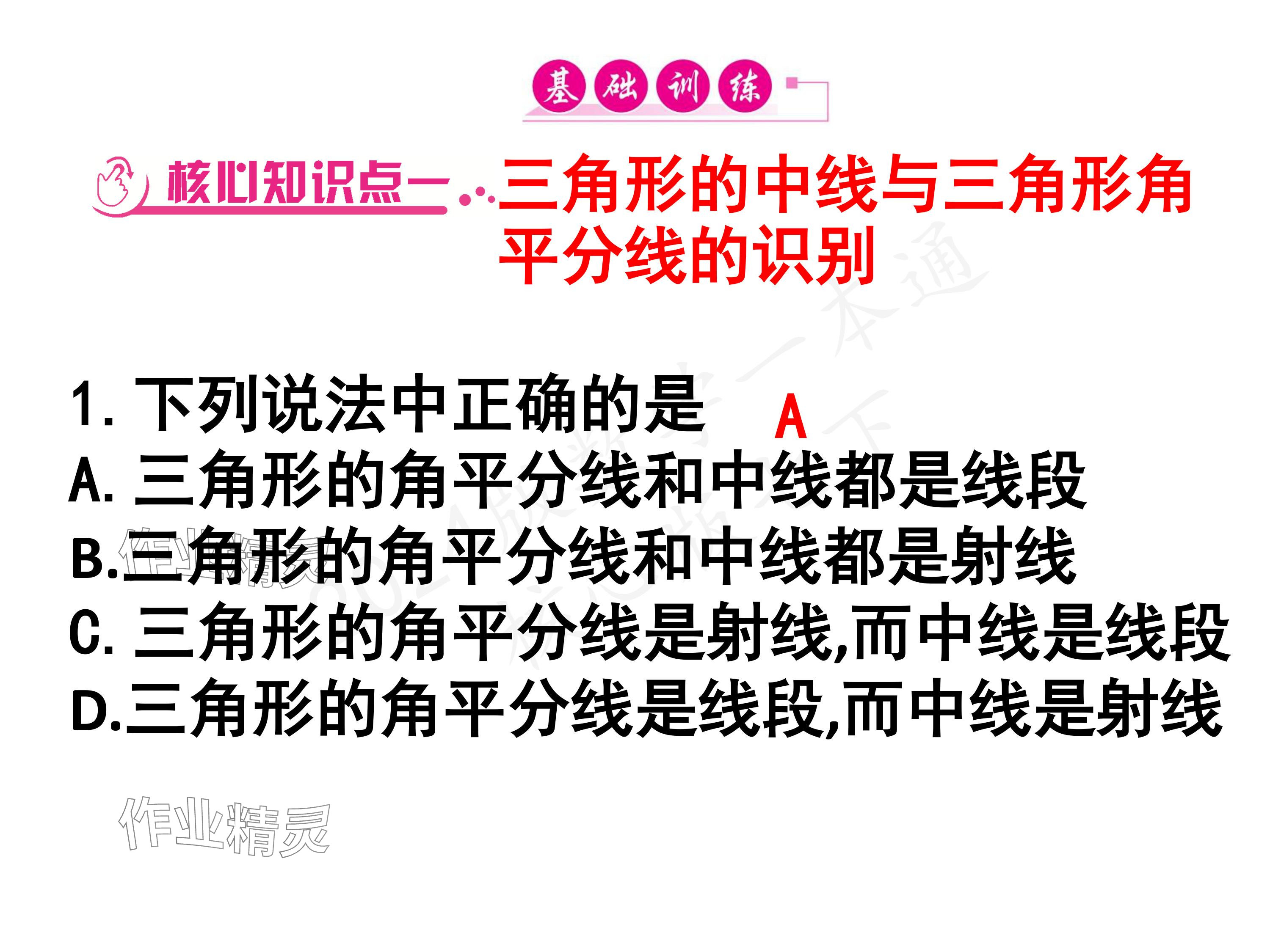 2024年一本通武漢出版社七年級數(shù)學(xué)下冊北師大版 參考答案第27頁