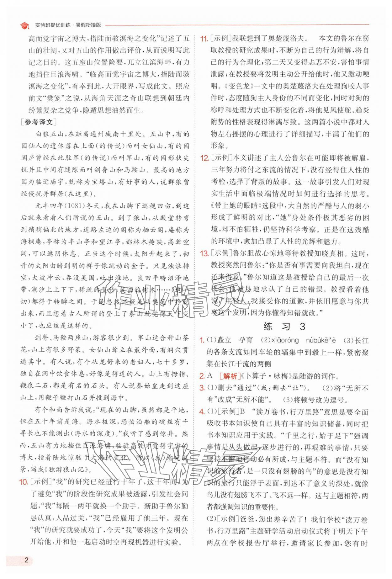 2025年實(shí)驗(yàn)班提優(yōu)訓(xùn)練暑假銜接版八升九年級(jí)語文人教版 第2頁