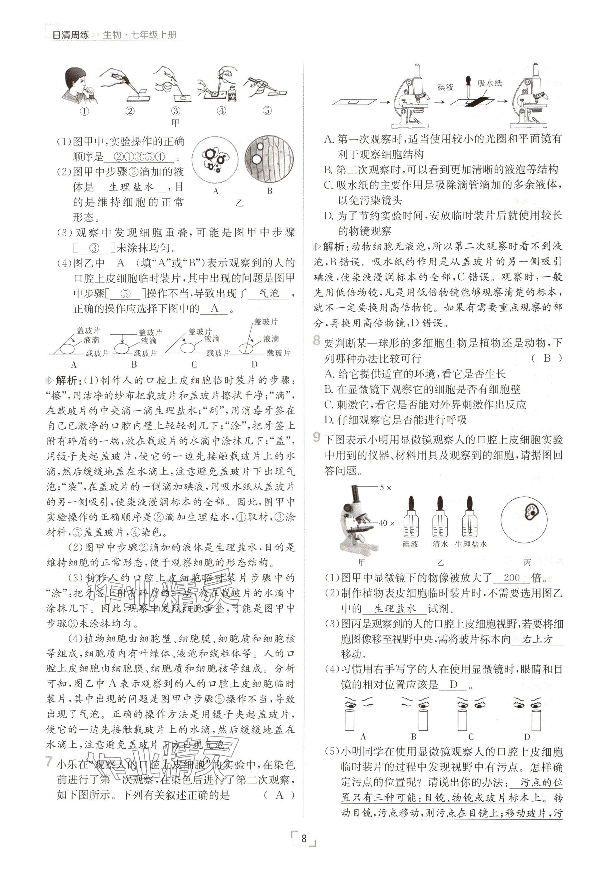 2024年日清周練七年級生物上冊人教版 參考答案第8頁