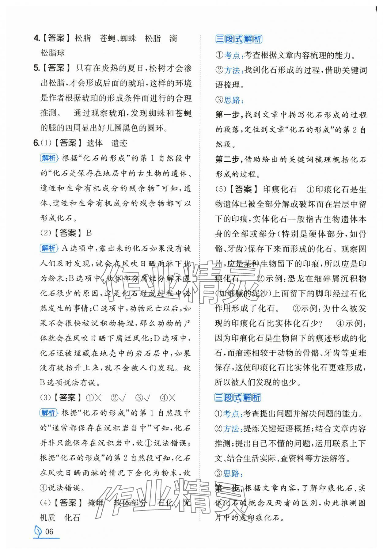 2025年一本同步訓(xùn)練四年級語文下冊人教版浙江專版 第6頁