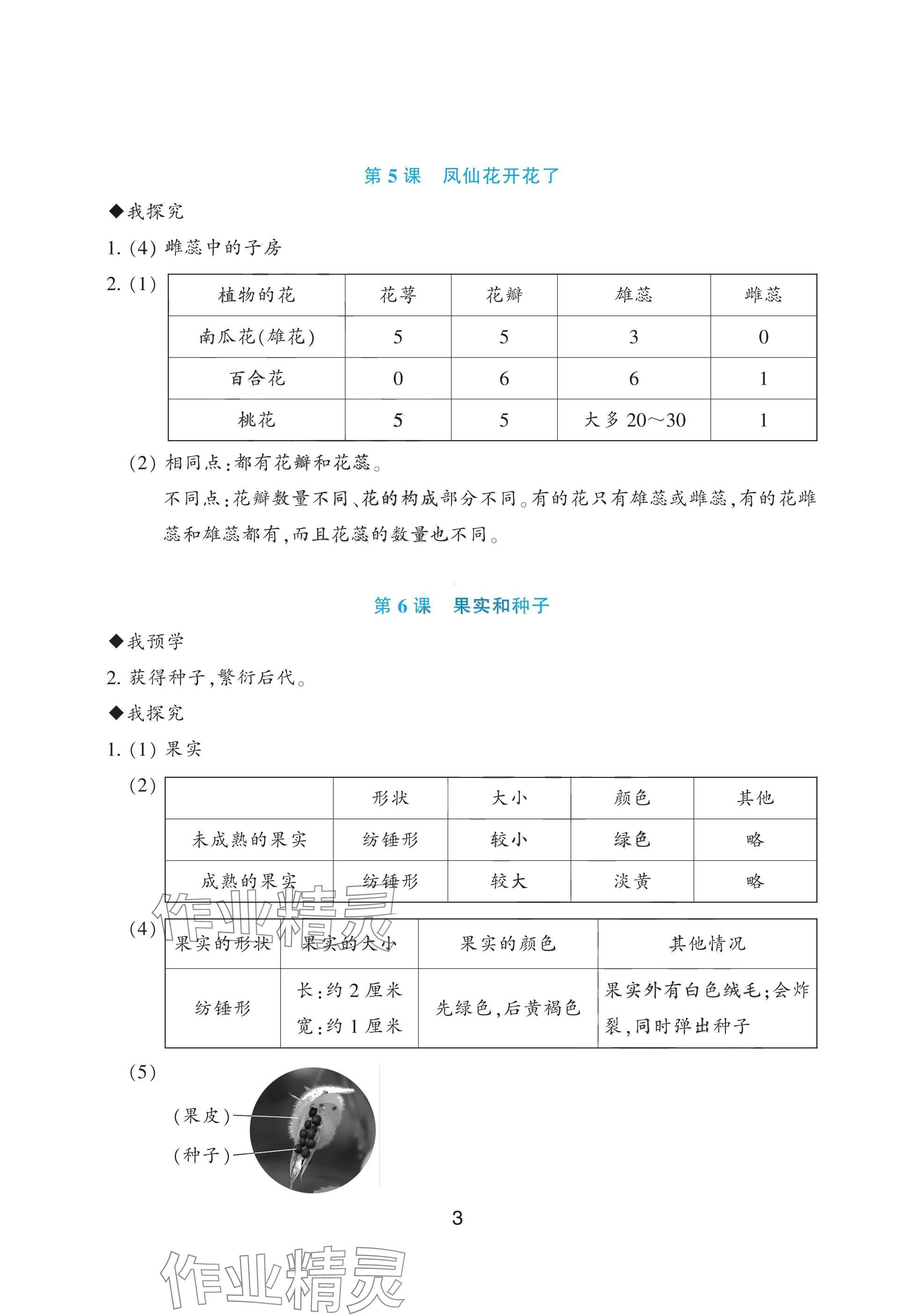 2025年預(yù)學(xué)與導(dǎo)學(xué)四年級(jí)科學(xué)下冊(cè)教科版 參考答案第3頁