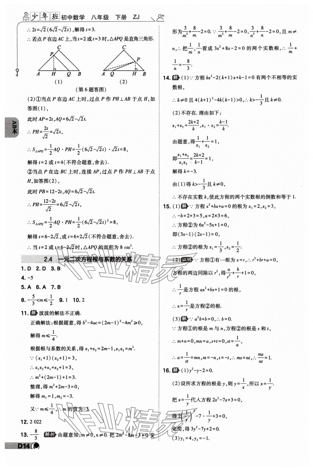 2024年少年班八年級數(shù)學(xué)下冊浙教版 參考答案第13頁