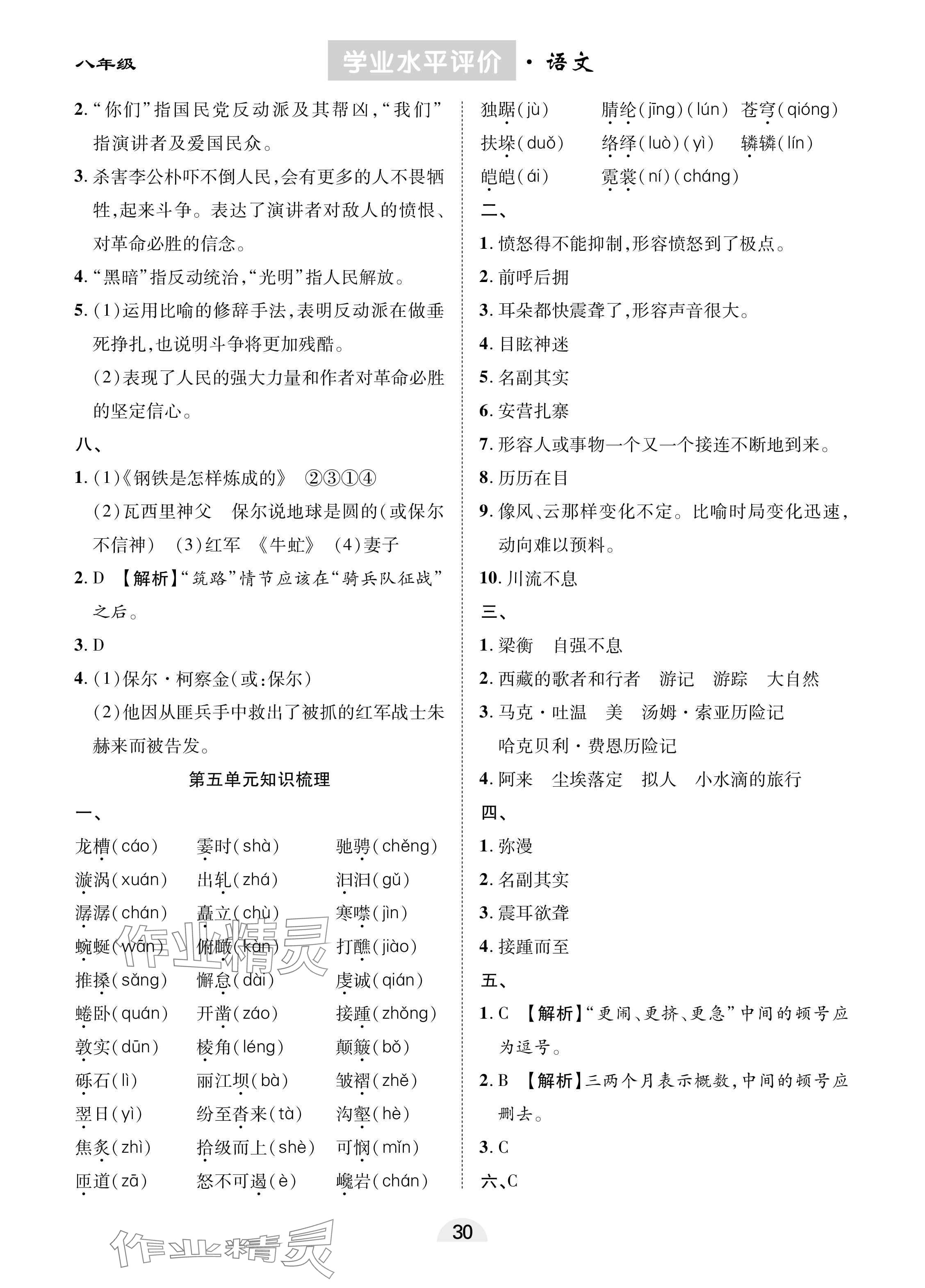 2025年學業(yè)水平評價八年級語文下冊人教版 參考答案第6頁