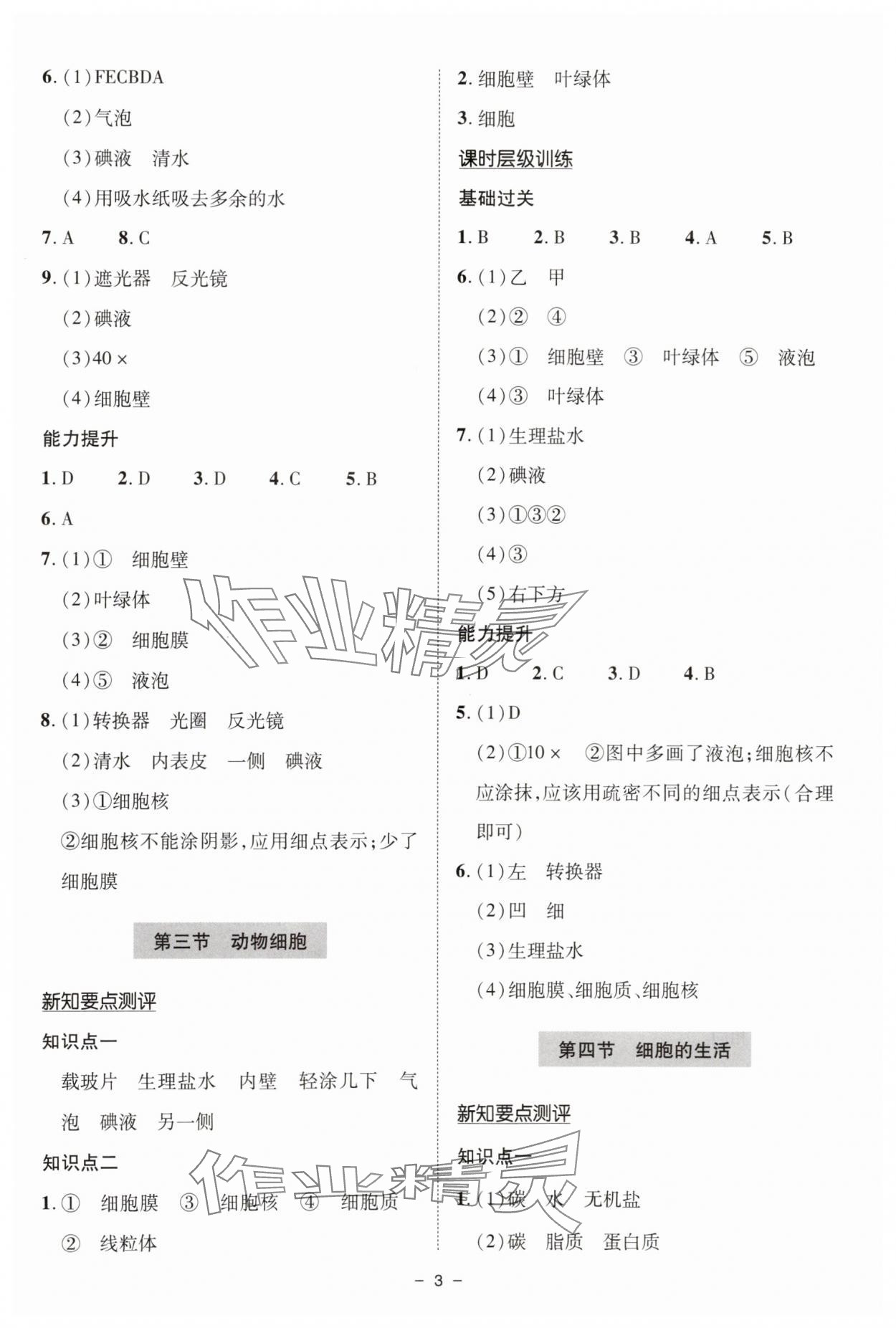 2025年新课堂学习与探究七年级生物上册人教版&nbsp;参考答案第3页
