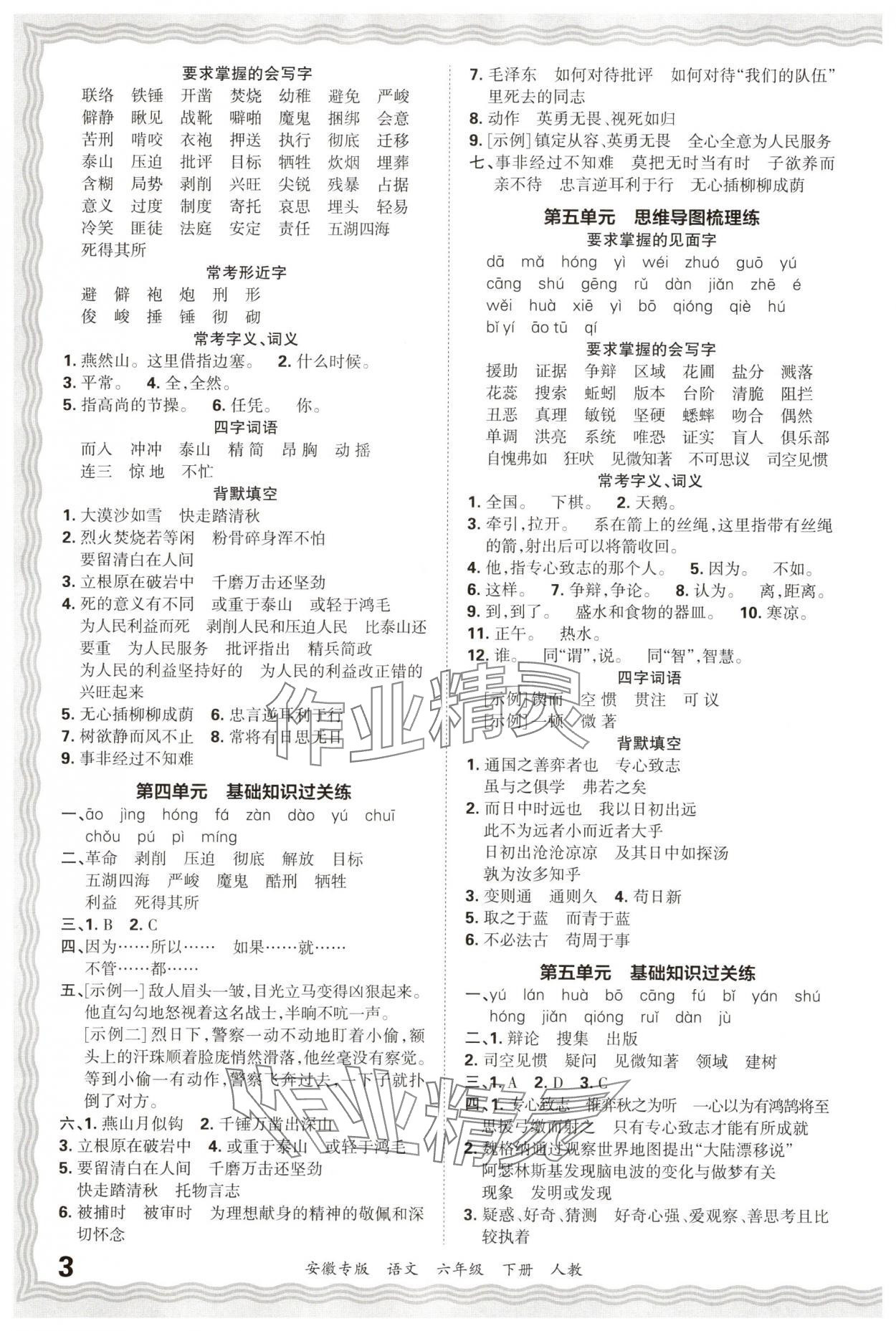 2025年王朝霞期末试卷研究六年级语文下册人教版安徽专版 参考答案第3页