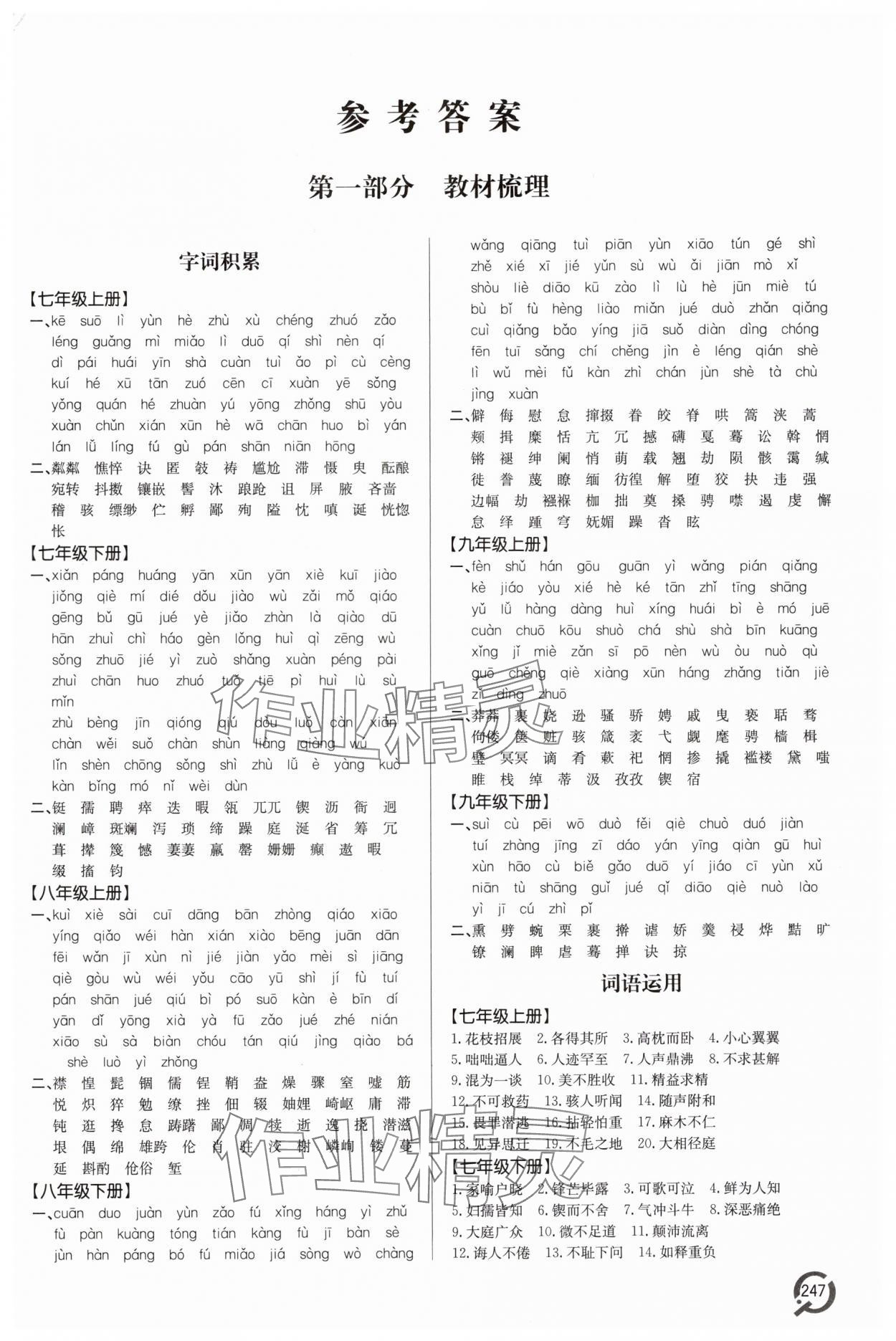 2025年初中总复习手册青岛出版社语文 第1页