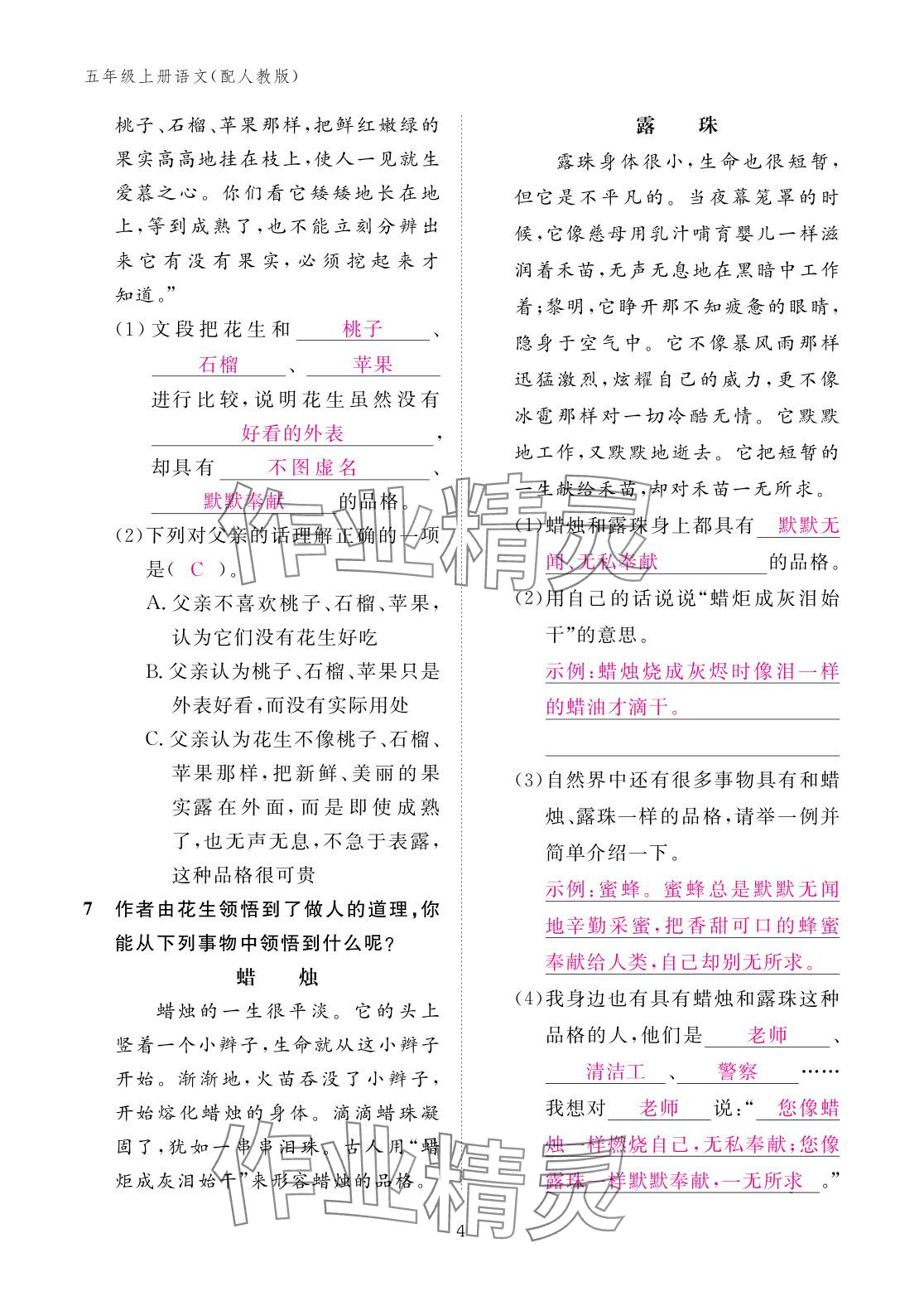 2025年作业本江西教育出版社五年级语文上册人教版 参考答案第4页