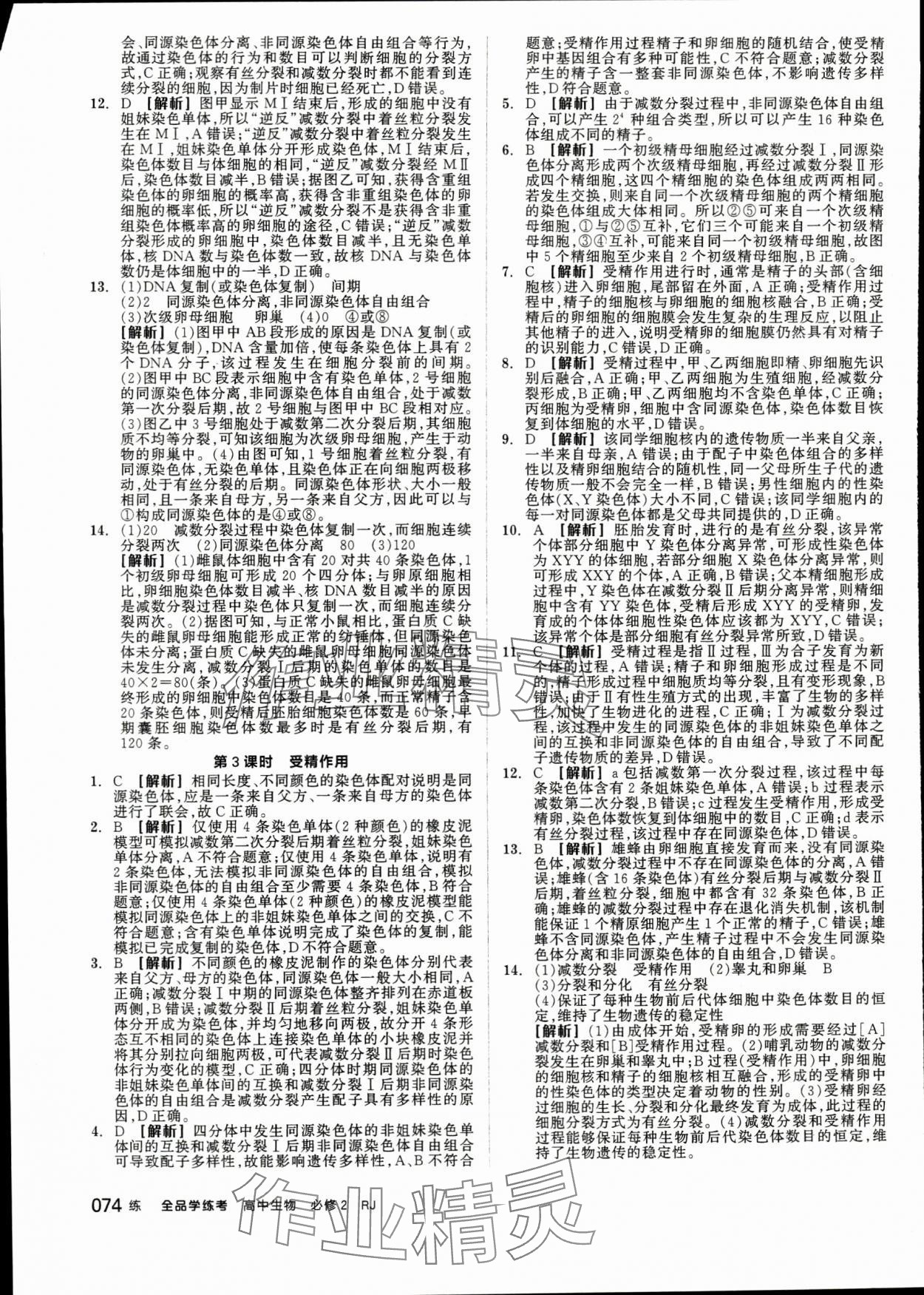 2024年全品學(xué)練考高中生物必修2人教版 第8頁