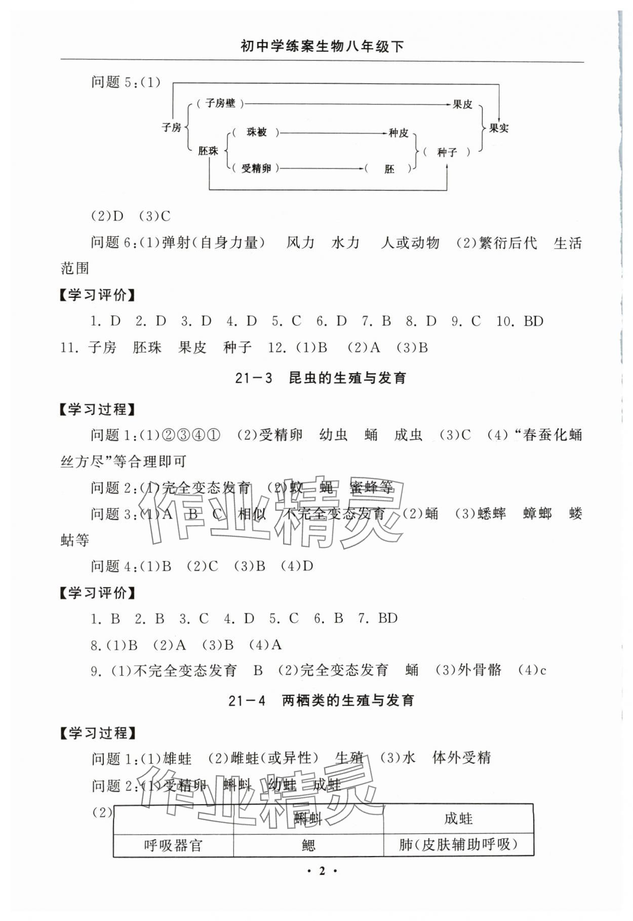 2024年初中學(xué)練案八年級(jí)生物下冊(cè)蘇教版 參考答案第2頁(yè)