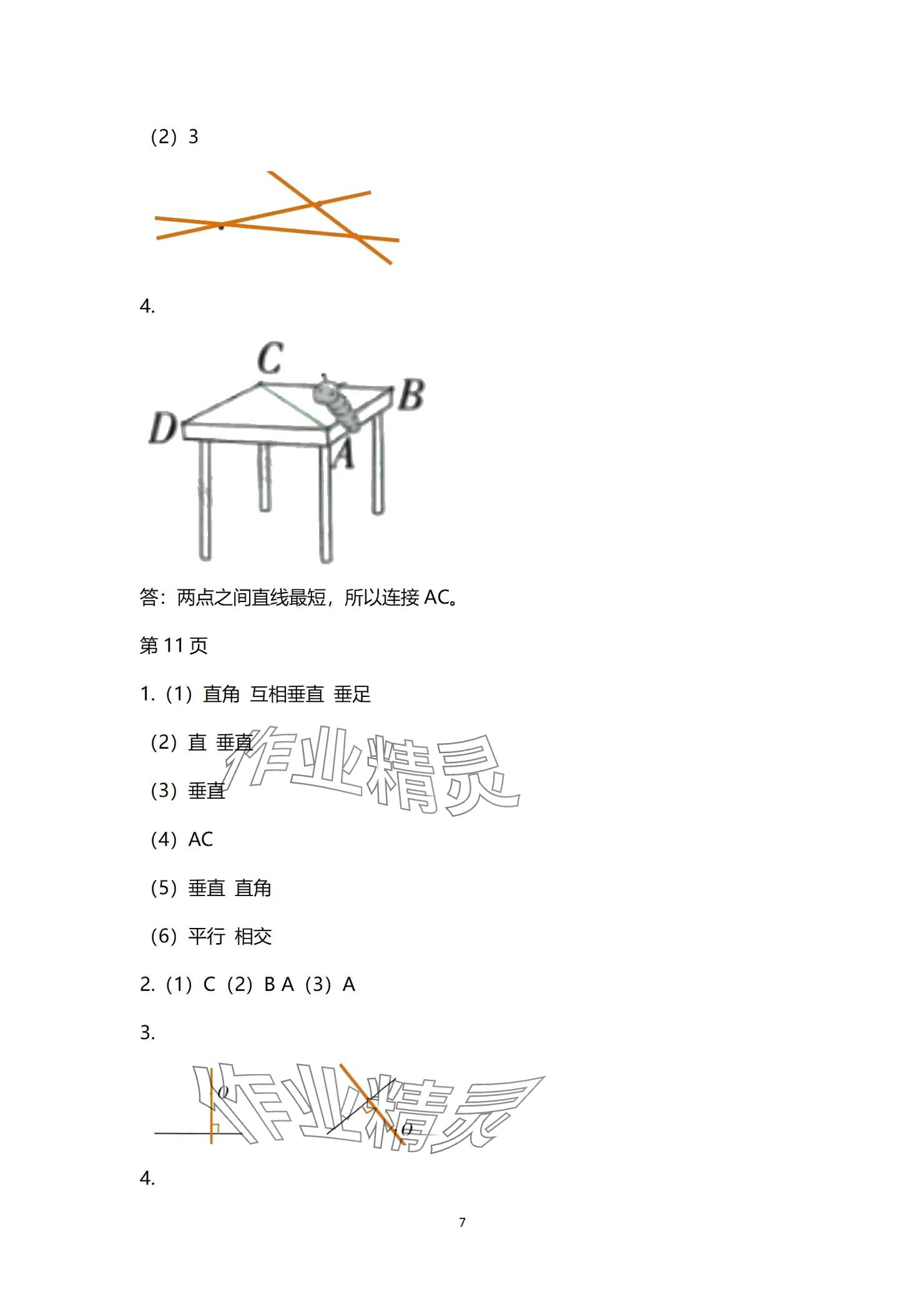 2024年學(xué)習(xí)之友四年級數(shù)學(xué)上冊北師大版 參考答案第7頁