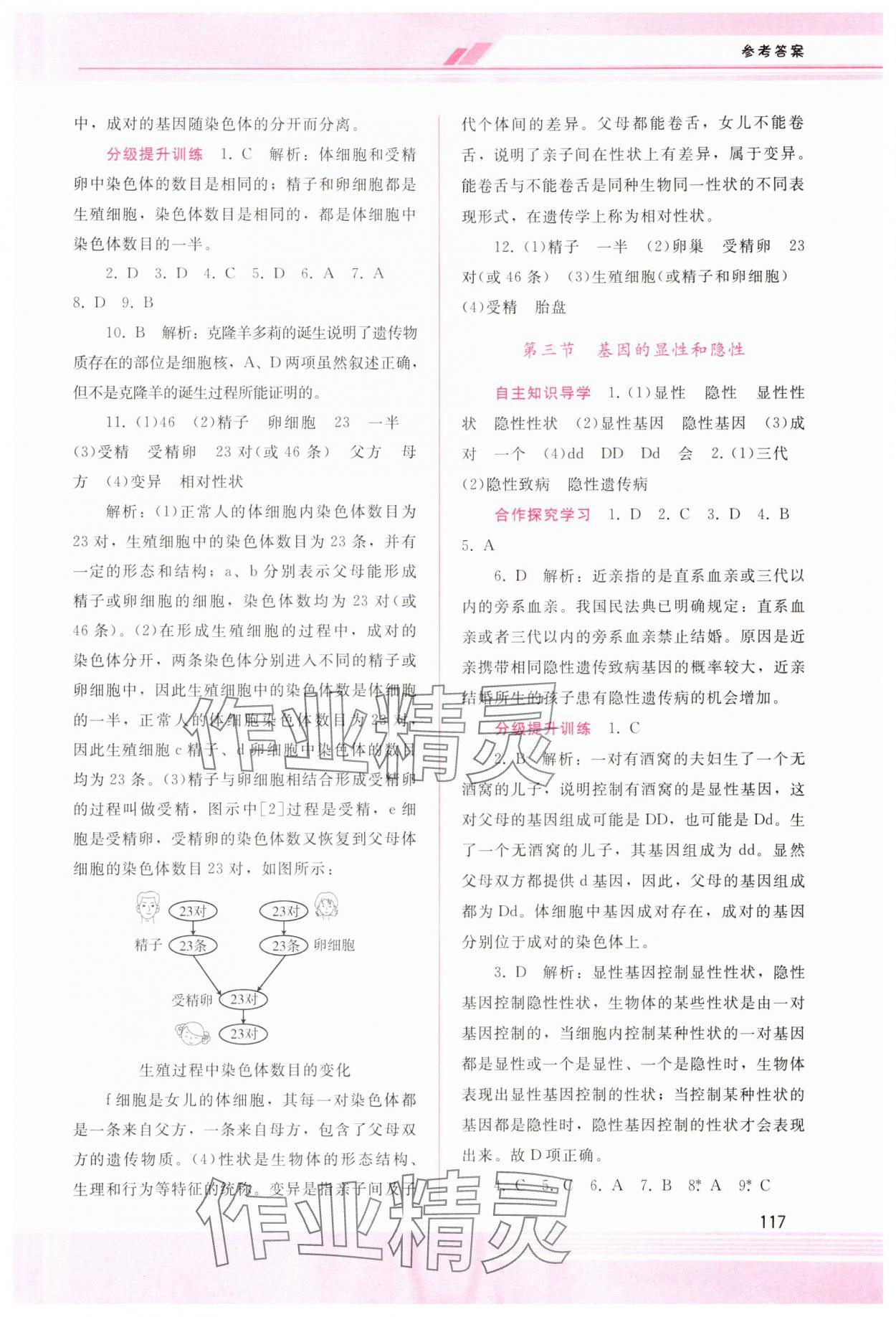 2024年新課程學(xué)習(xí)輔導(dǎo)八年級(jí)生物下冊(cè)人教版 第3頁(yè)