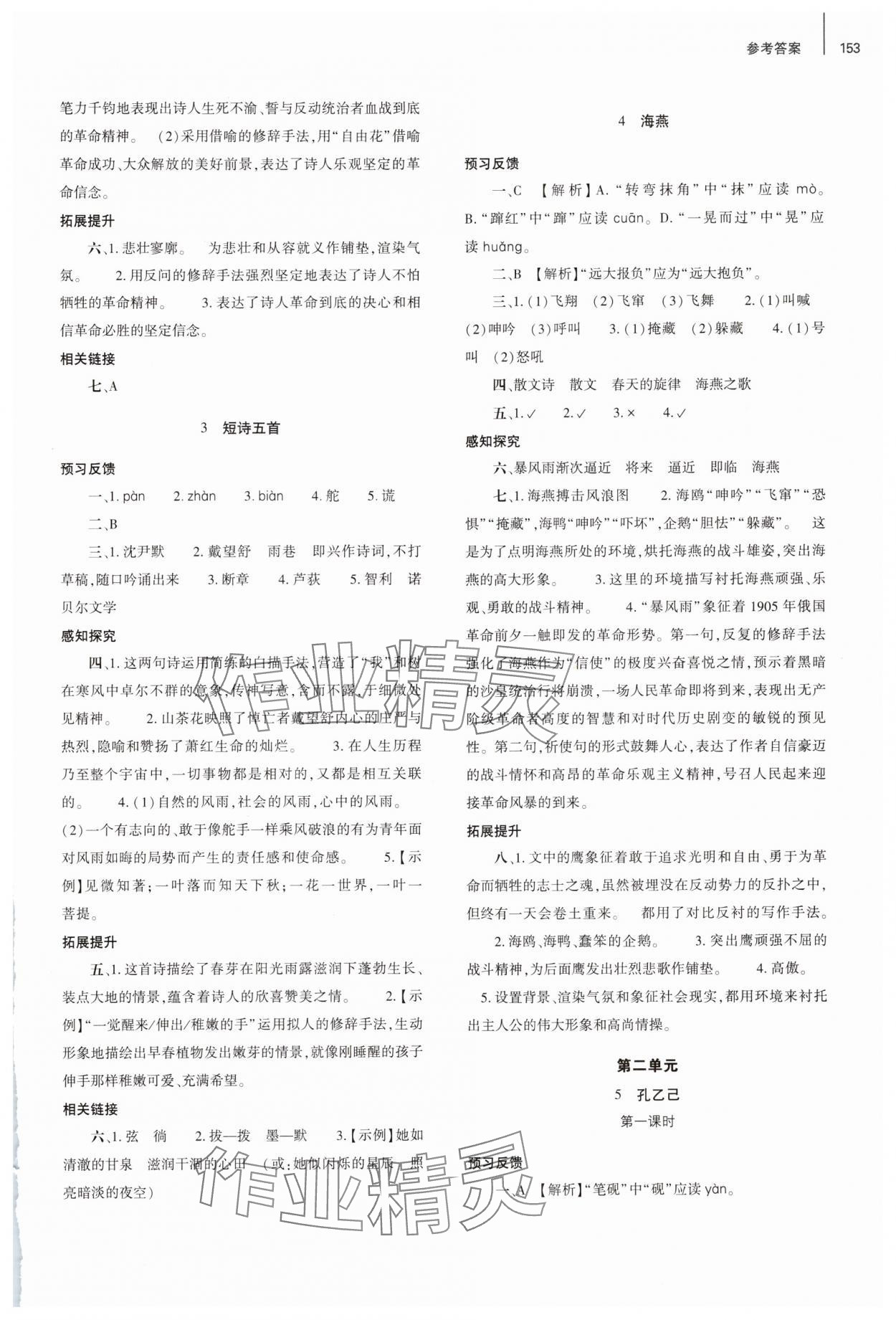 2025年同步练习册大象出版社九年级语文下册人教版 参考答案第2页