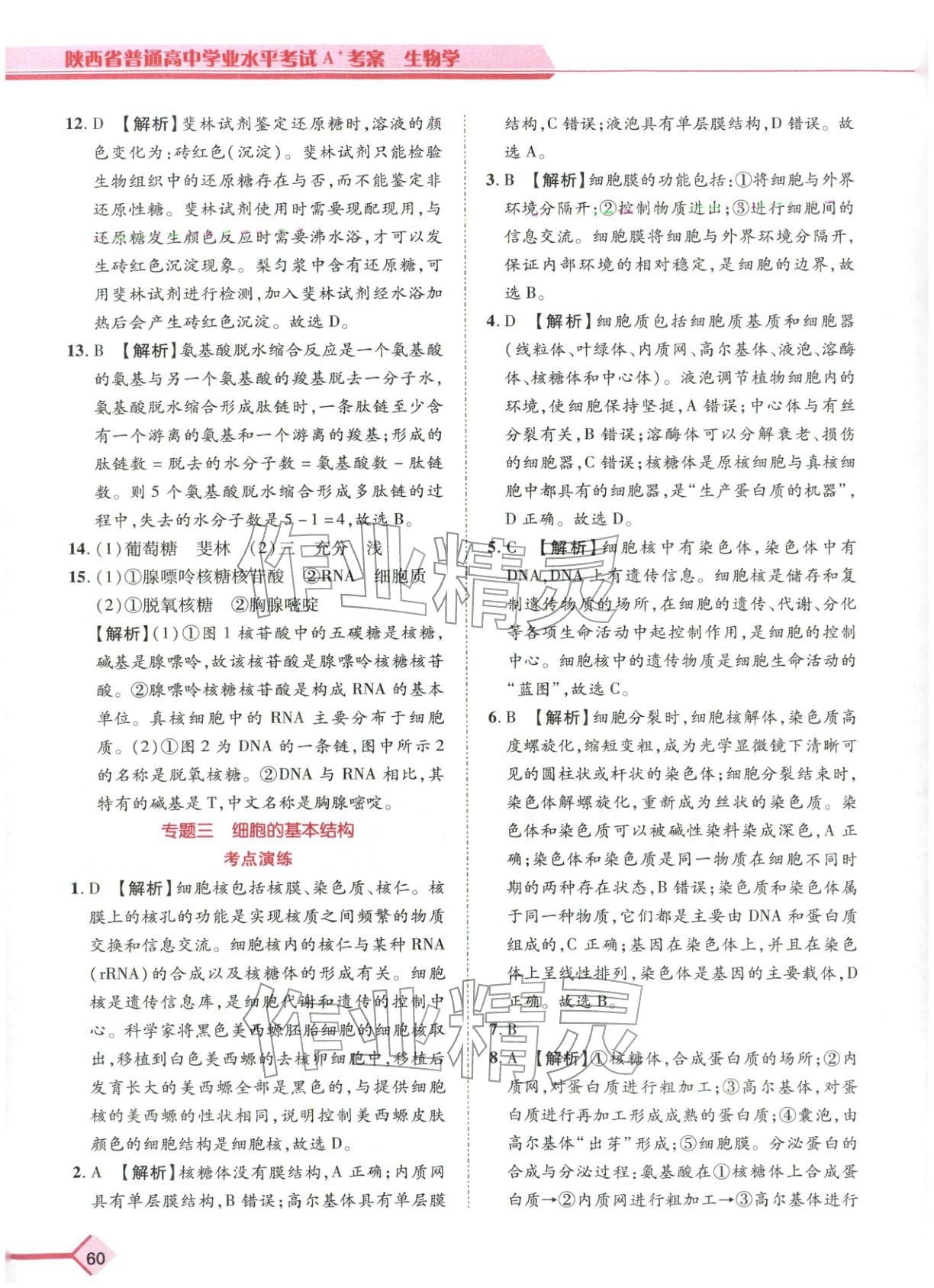 2026年普通高中学业水平考试A+考案生物陕西专版&nbsp;第3页