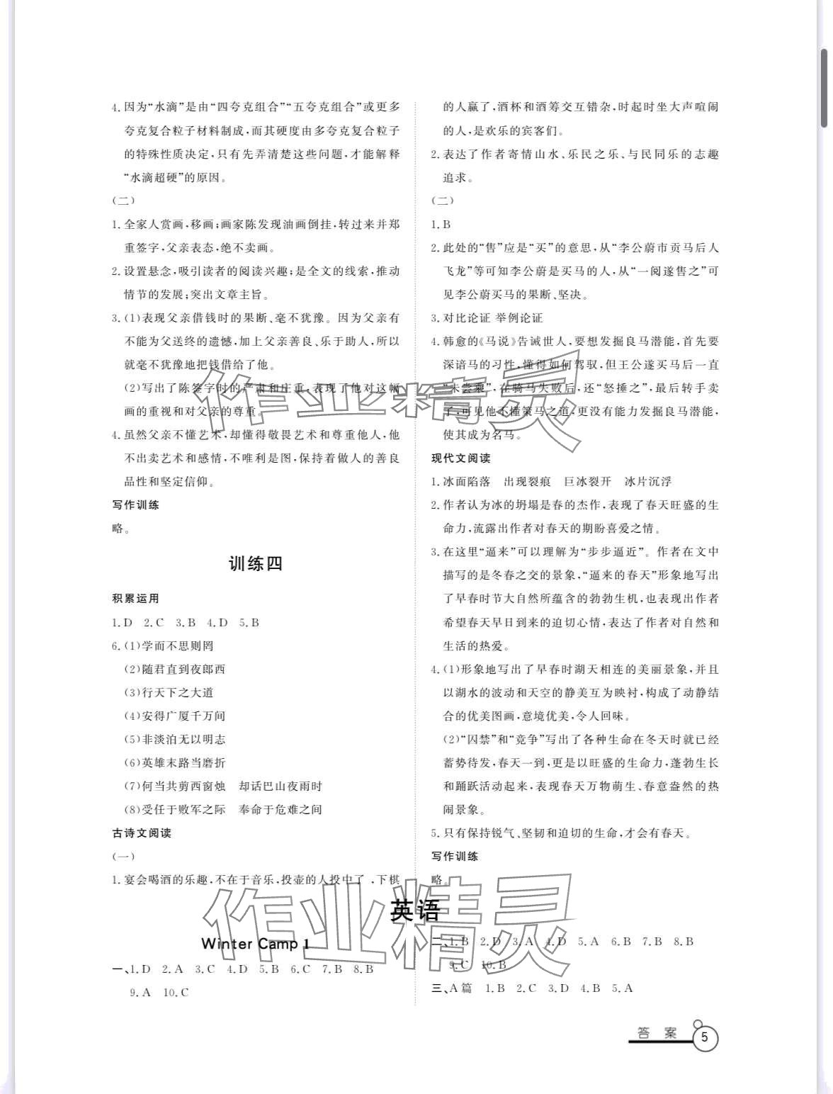 2024年寒假作業(yè)山東文藝出版社九年級 第5頁