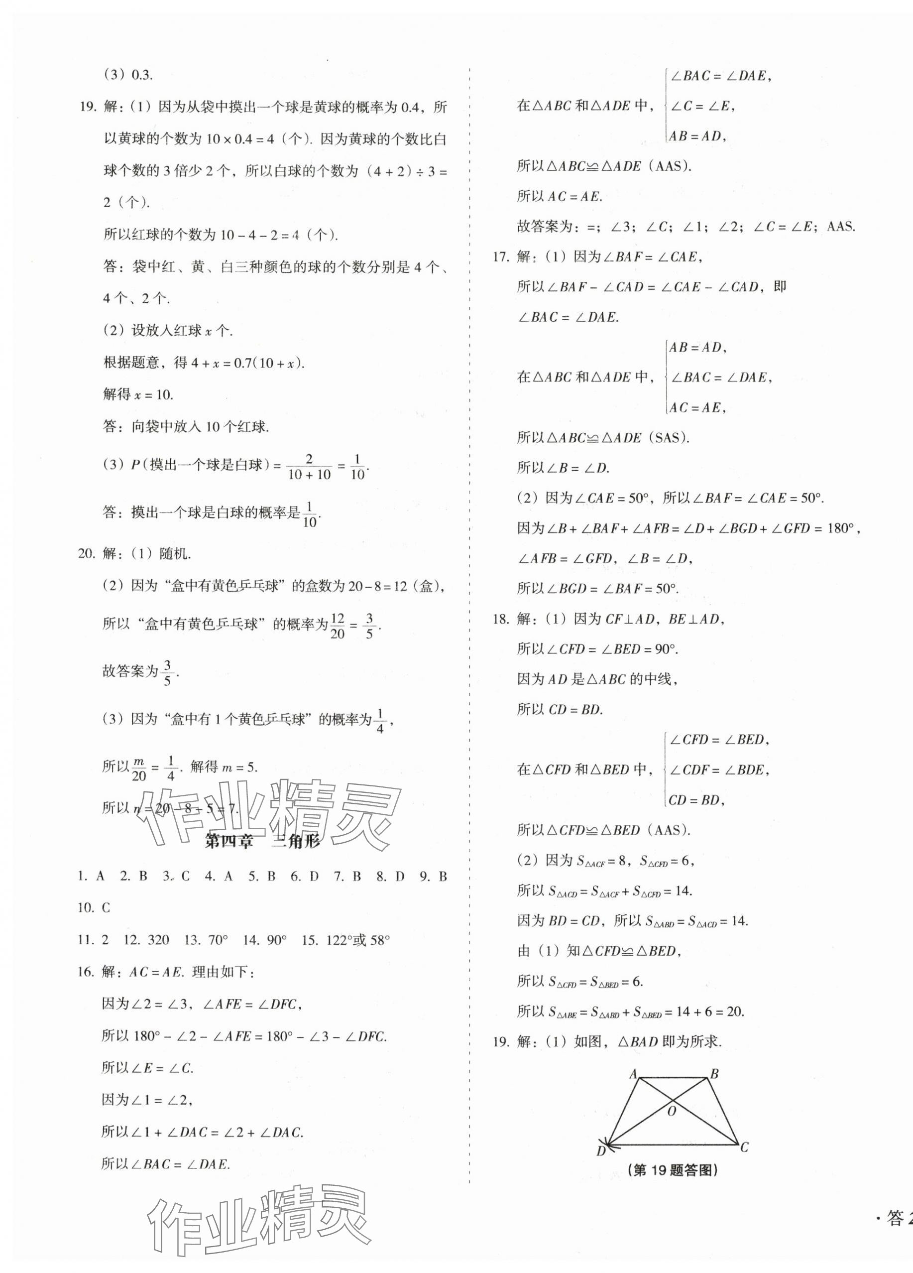 2025年百分期末考七年級數學下冊北師大版 參考答案第3頁