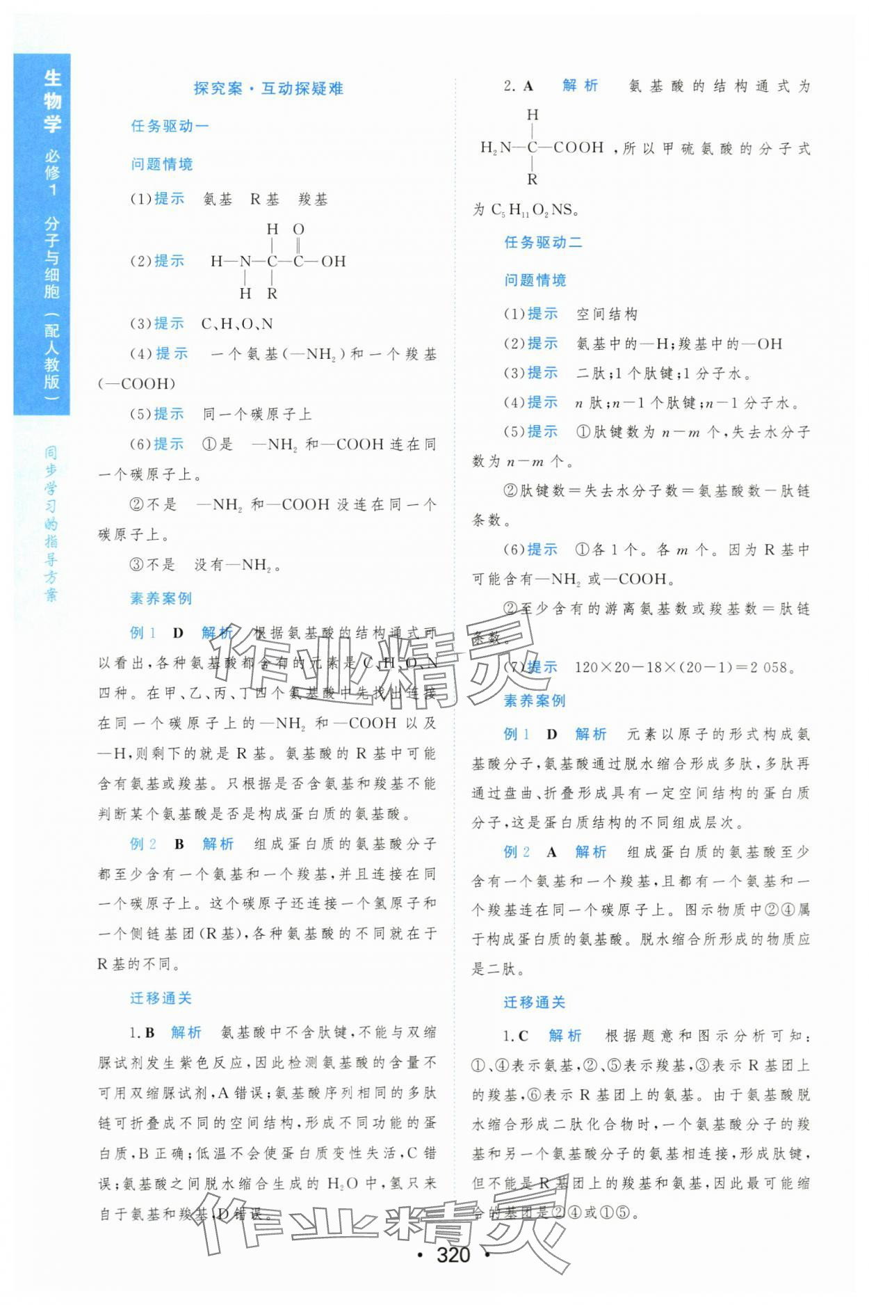 2023年新课程学习与测评生物必修1人教版 参考答案第11页