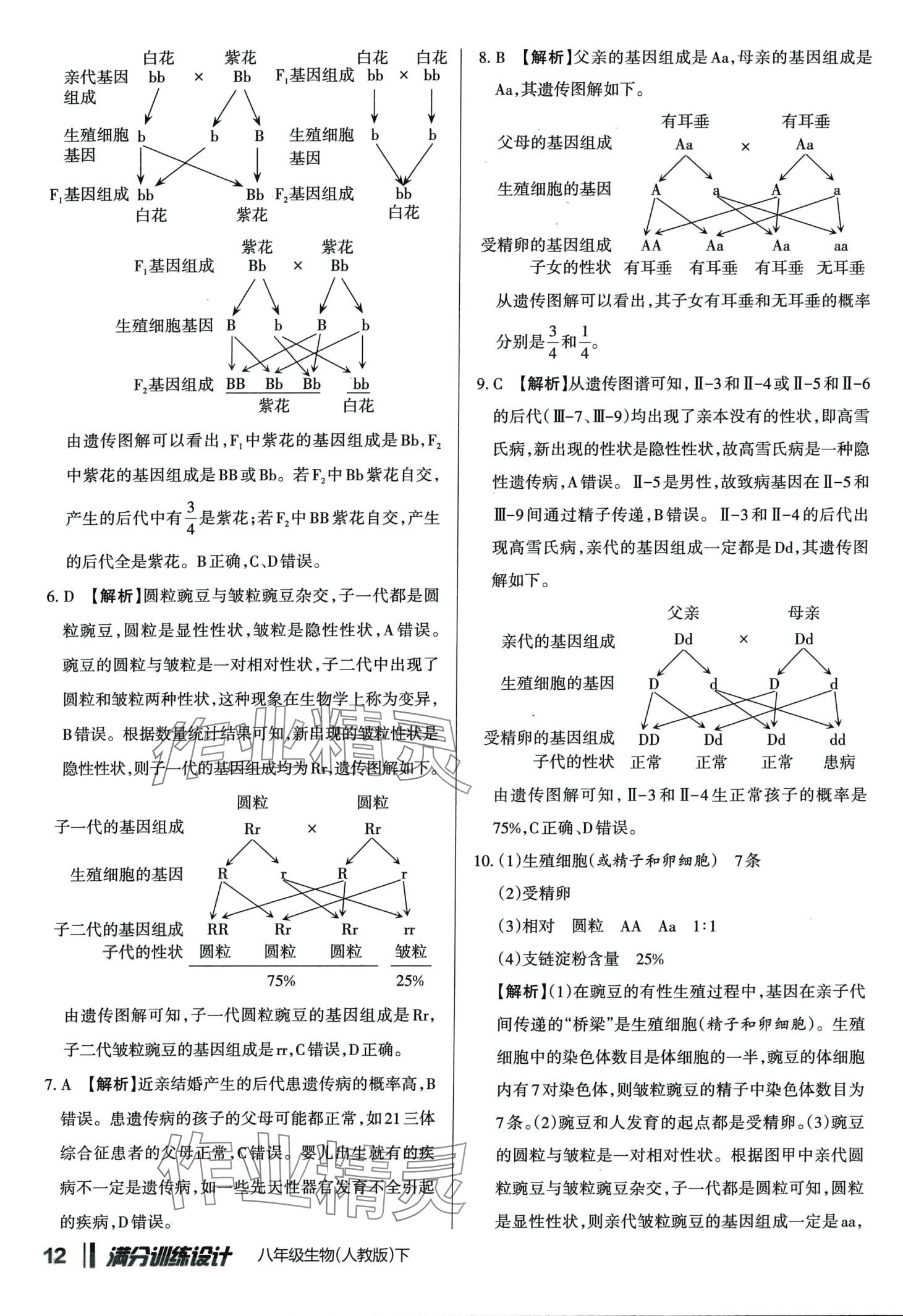 2024年满分训练设计八年级生物下册人教版 第11页