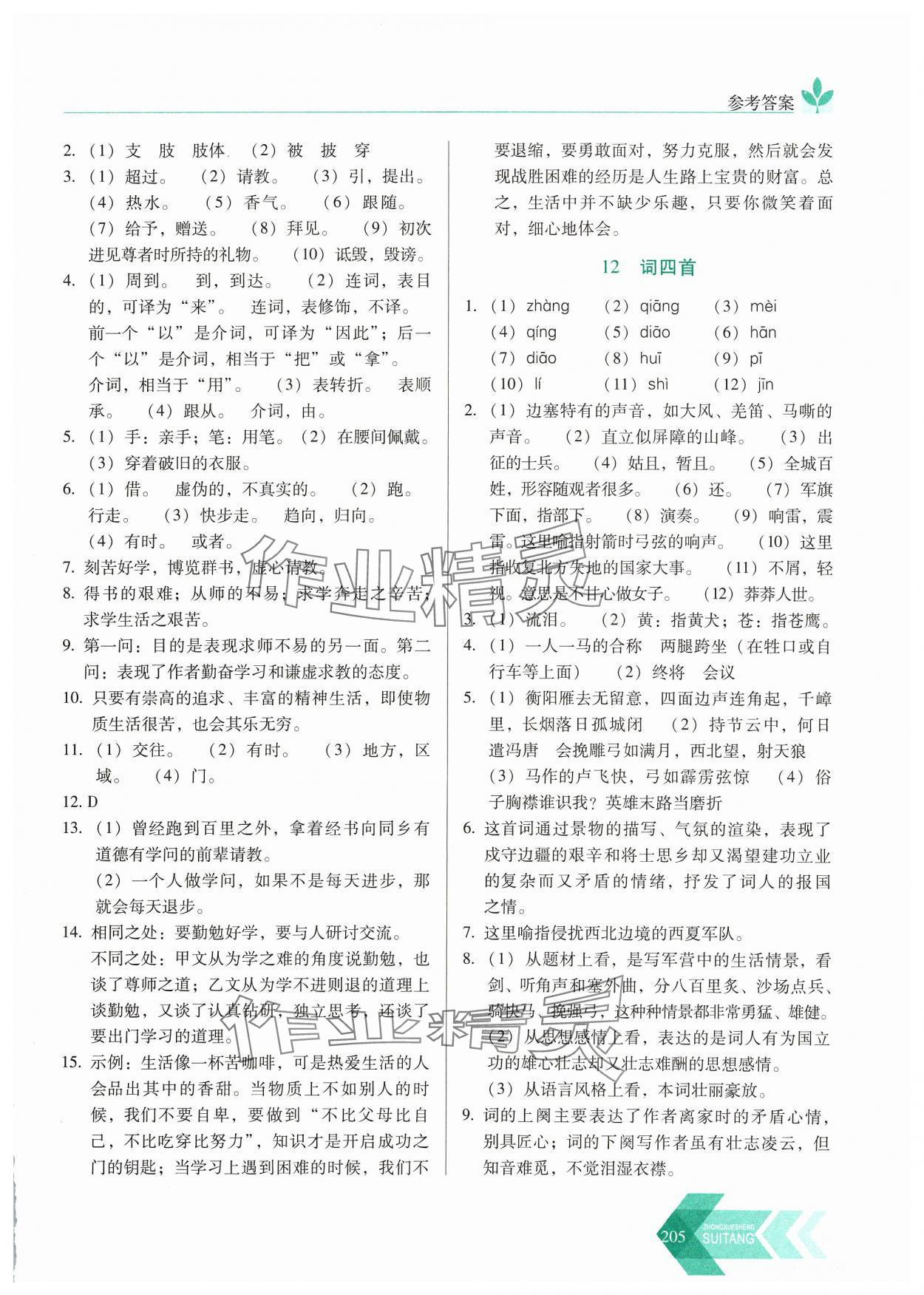 2024年隨堂同步練習(xí)九年級(jí)語文下冊(cè)人教版 參考答案第10頁