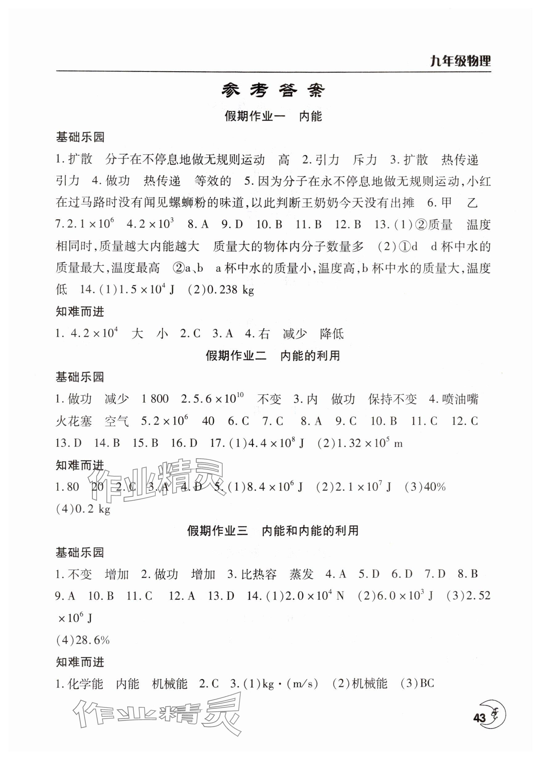 2025年寒假作業(yè)天天練九年級物理人教版文心出版社 參考答案第1頁