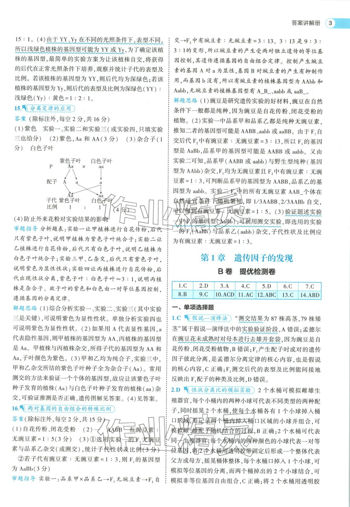 2026年53高中全优卷高中生物必修第二册人教版&nbsp;第3页