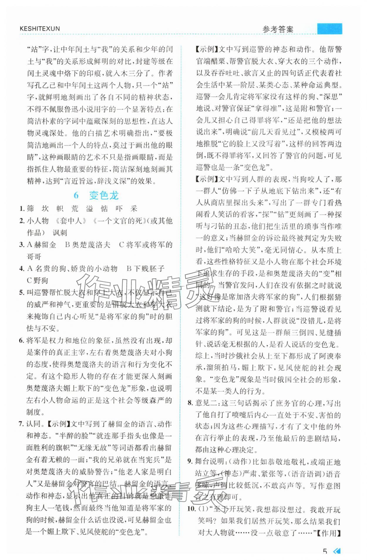 2025年课时特训九年级语文下册人教版&nbsp;第5页