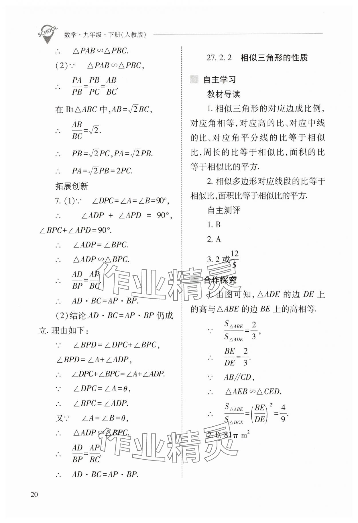2025年新課程問題解決導(dǎo)學(xué)方案九年級數(shù)學(xué)下冊人教版 參考答案第20頁