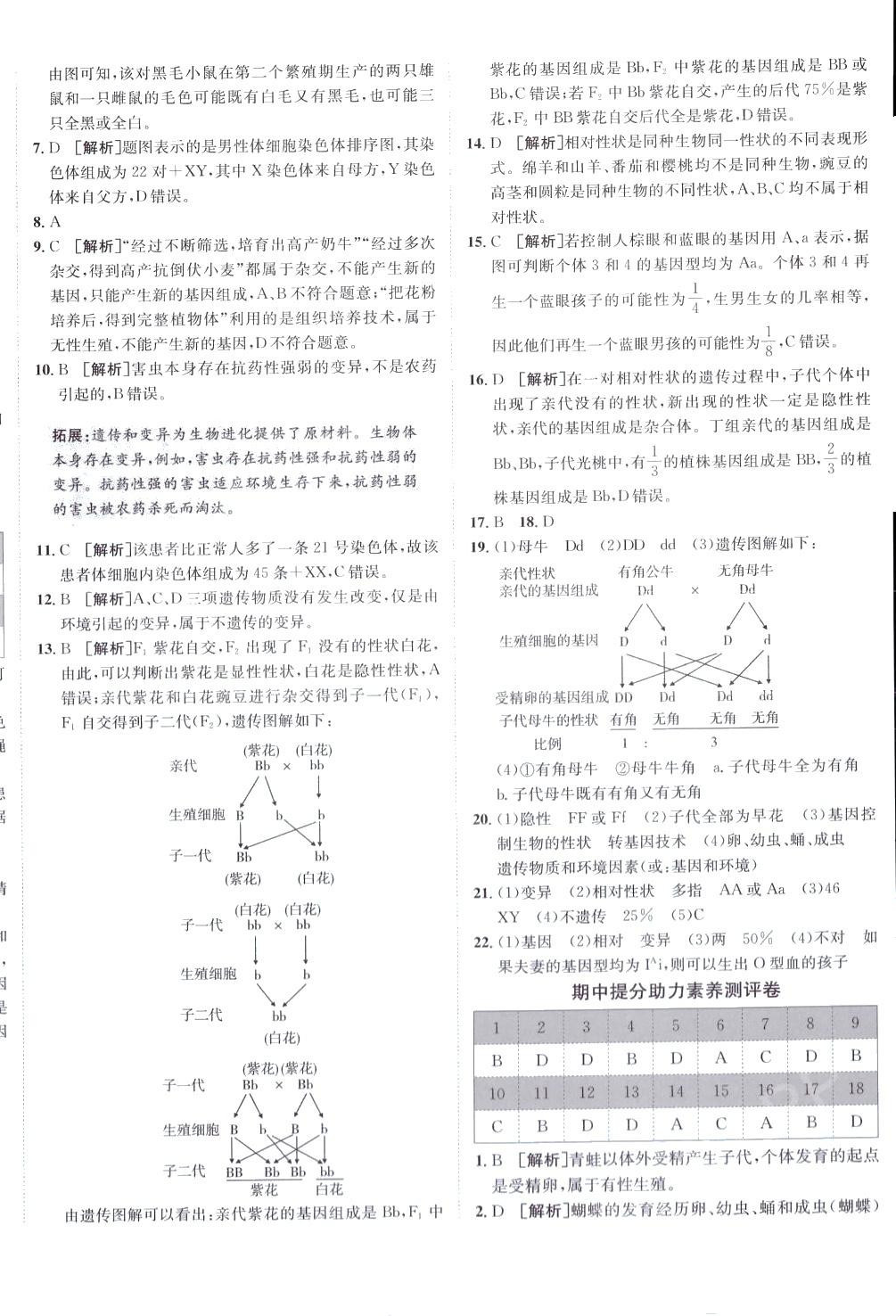 2024年海淀單元測試AB卷八年級生物下冊人教版 第4頁