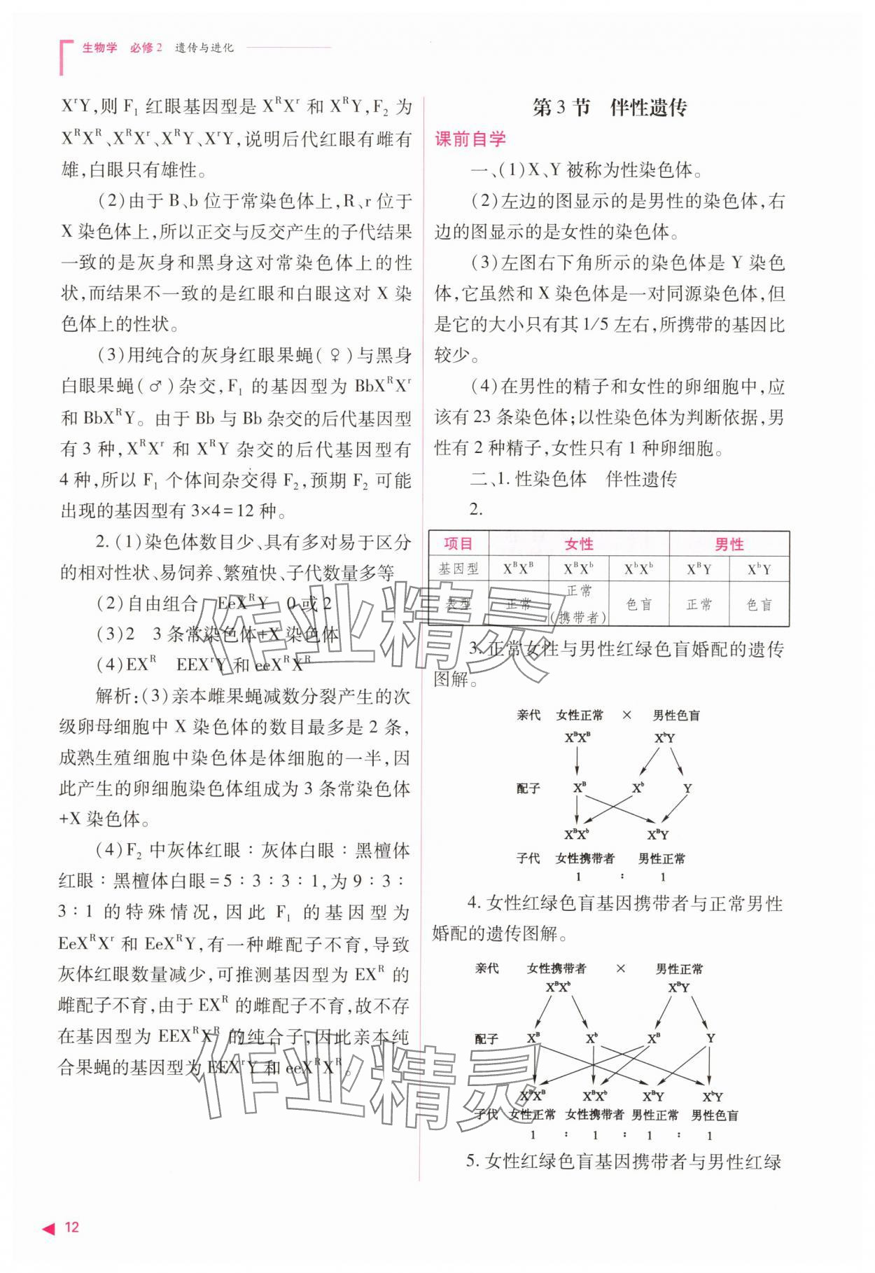 2025年普通高中同步練習(xí)冊高中生物必修2人教版 參考答案第12頁