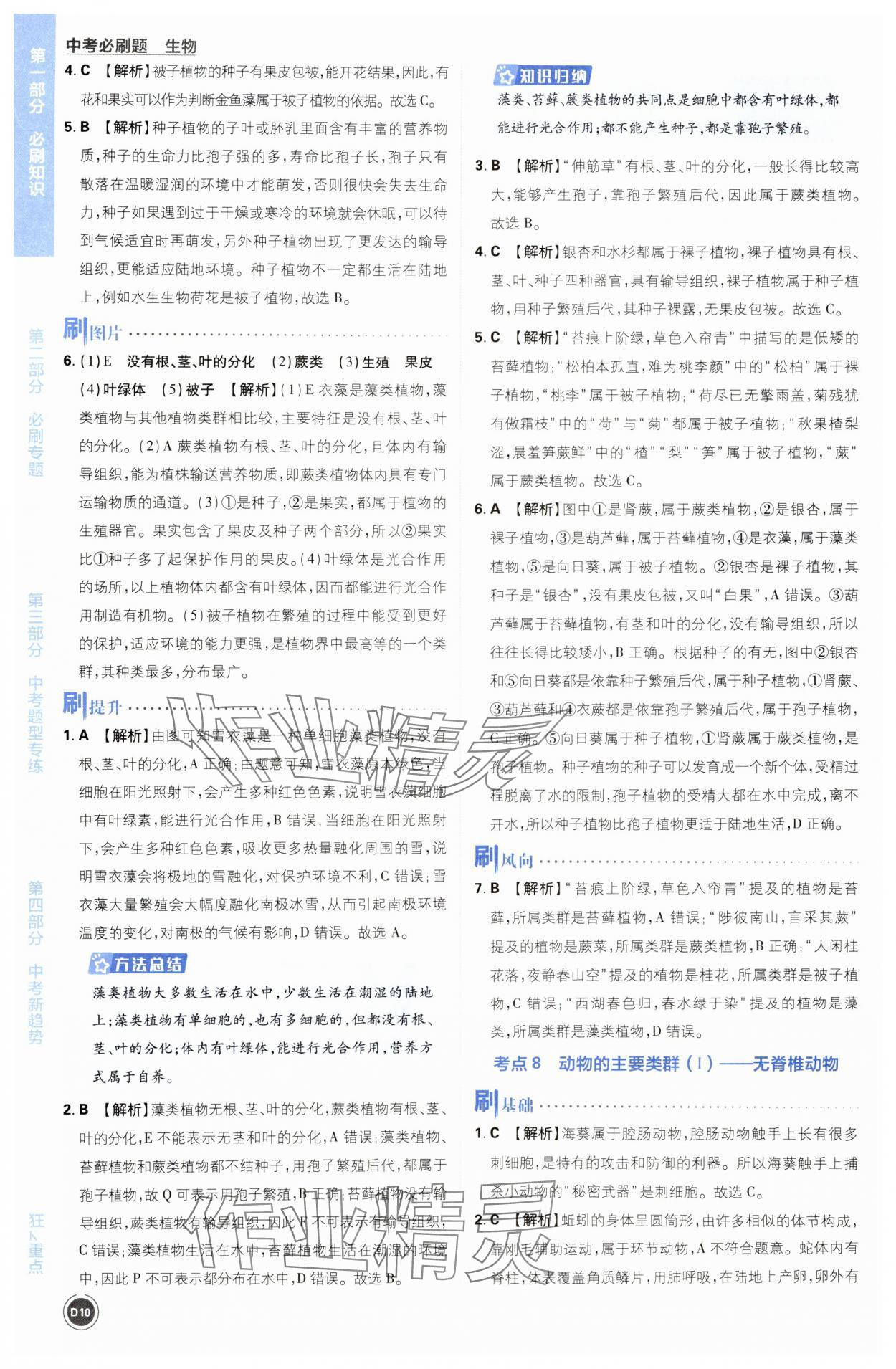 2024年中考必刷题开明出版社生物&nbsp;第10页