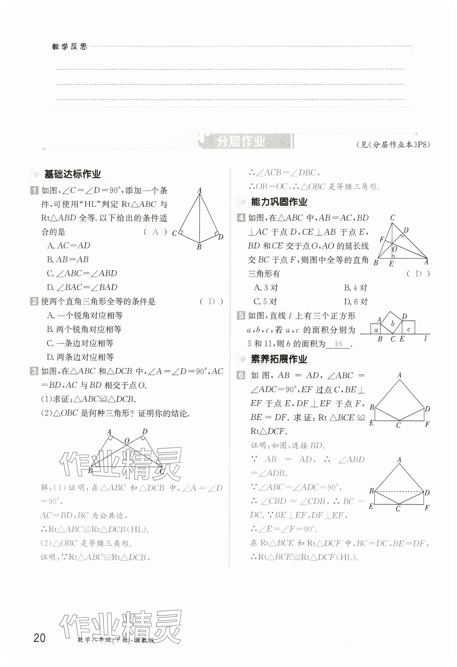 2025年金太陽(yáng)導(dǎo)學(xué)案八年級(jí)數(shù)學(xué)下冊(cè)湘教版 參考答案第19頁(yè)