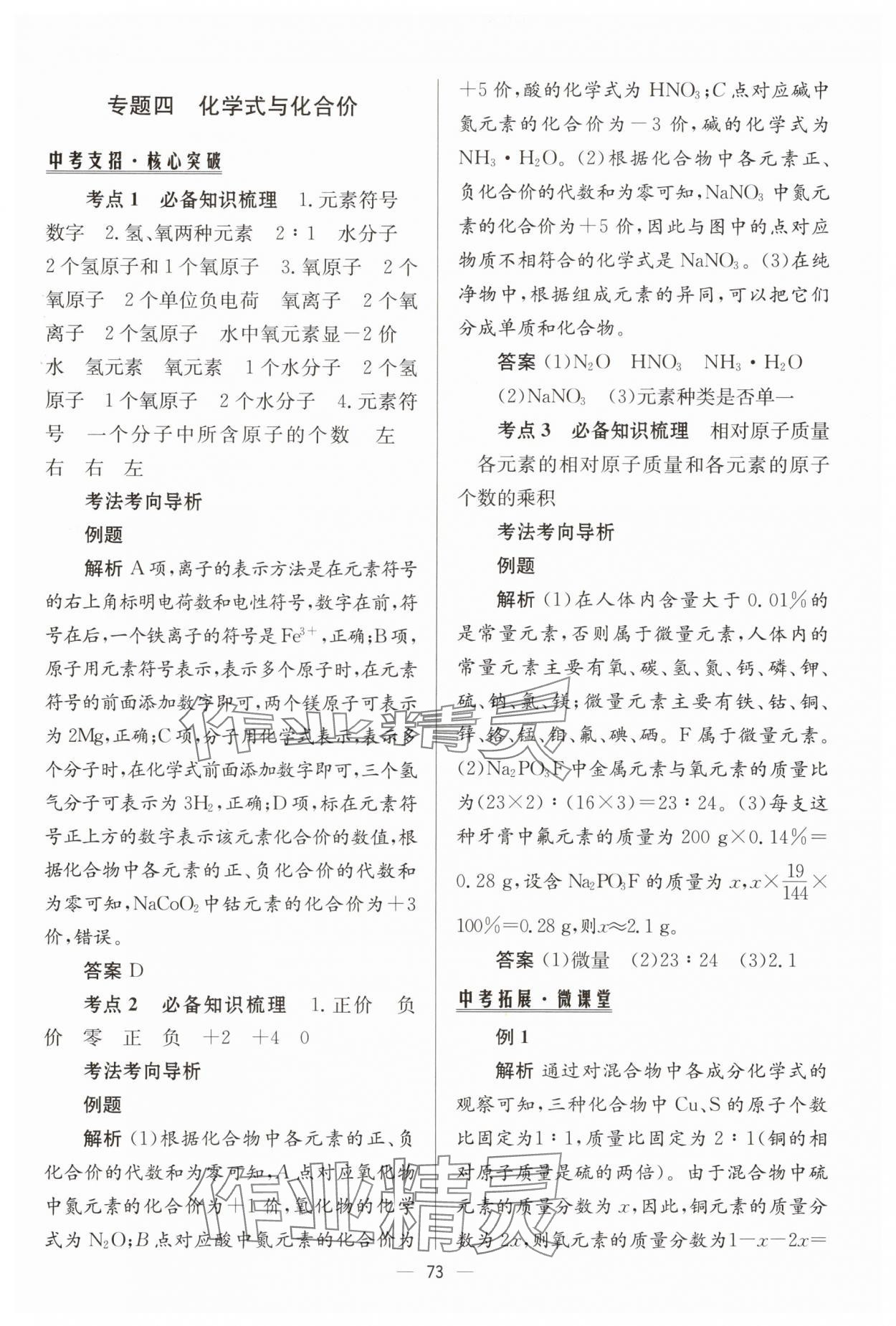 2025年初中總復(fù)習(xí)手冊北京師范大學(xué)出版社化學(xué) 第5頁