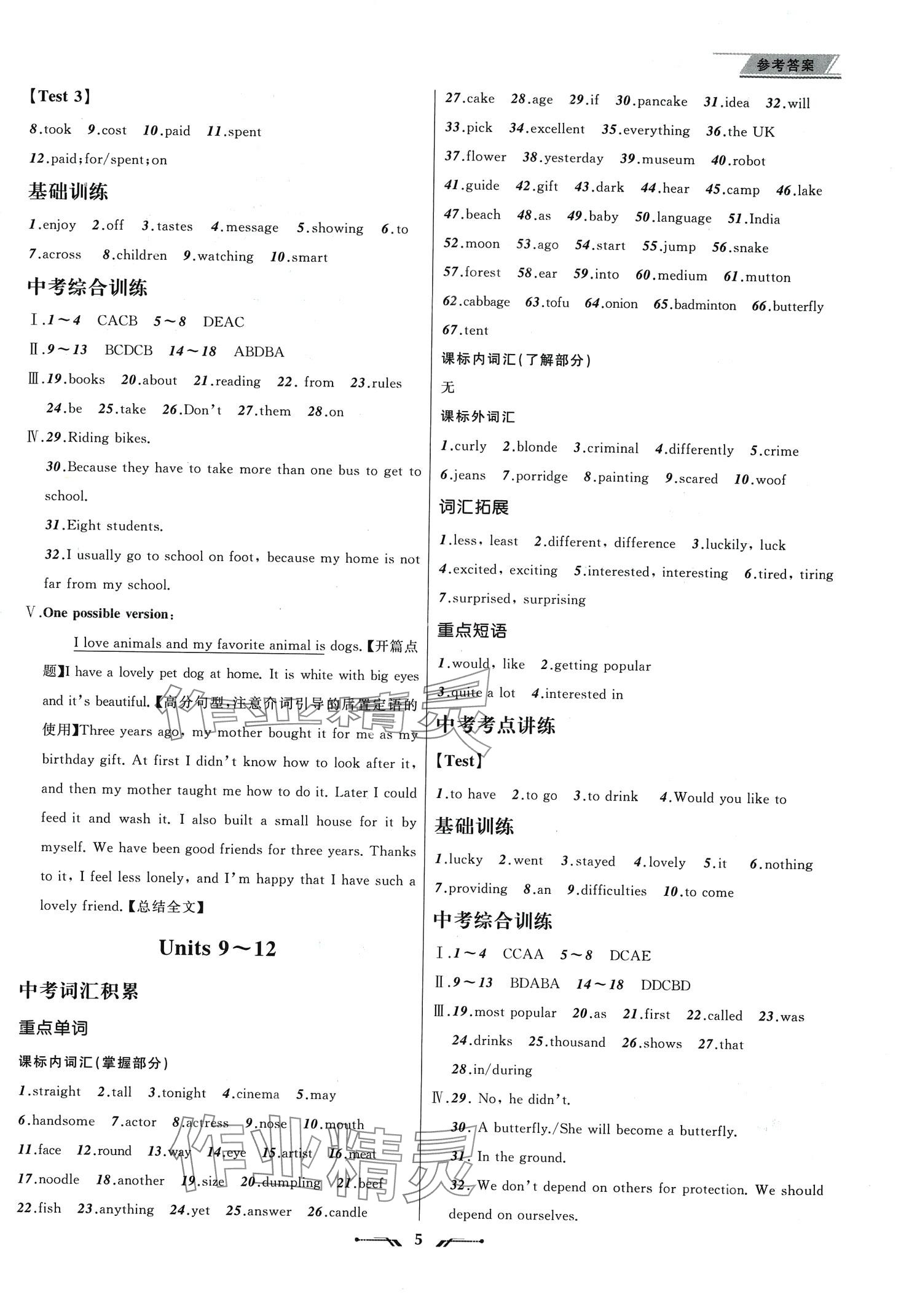 2024年中考全程復(fù)習(xí)訓(xùn)練英語 第5頁