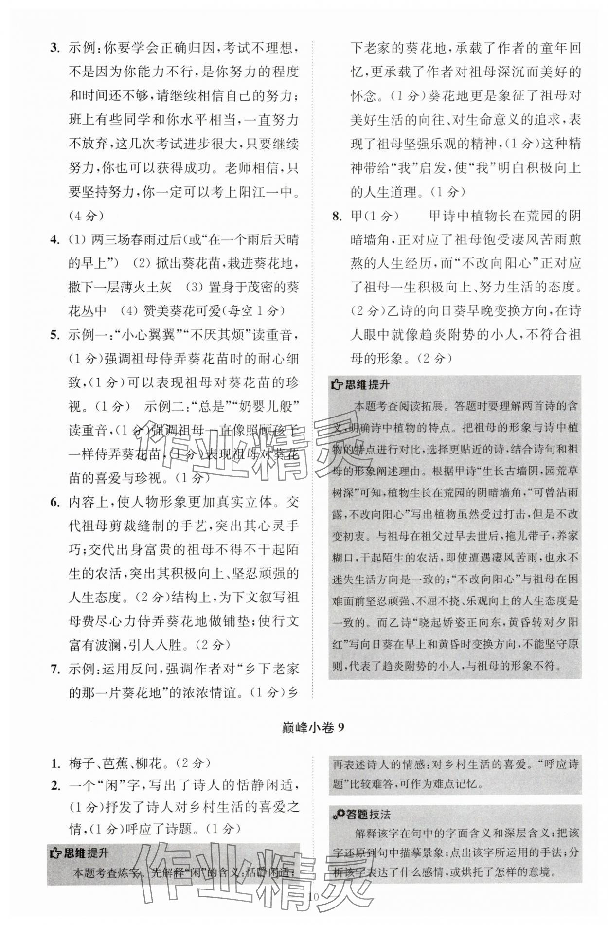 2025年小題狂做七年級語文上冊人教版巔峰版 第10頁