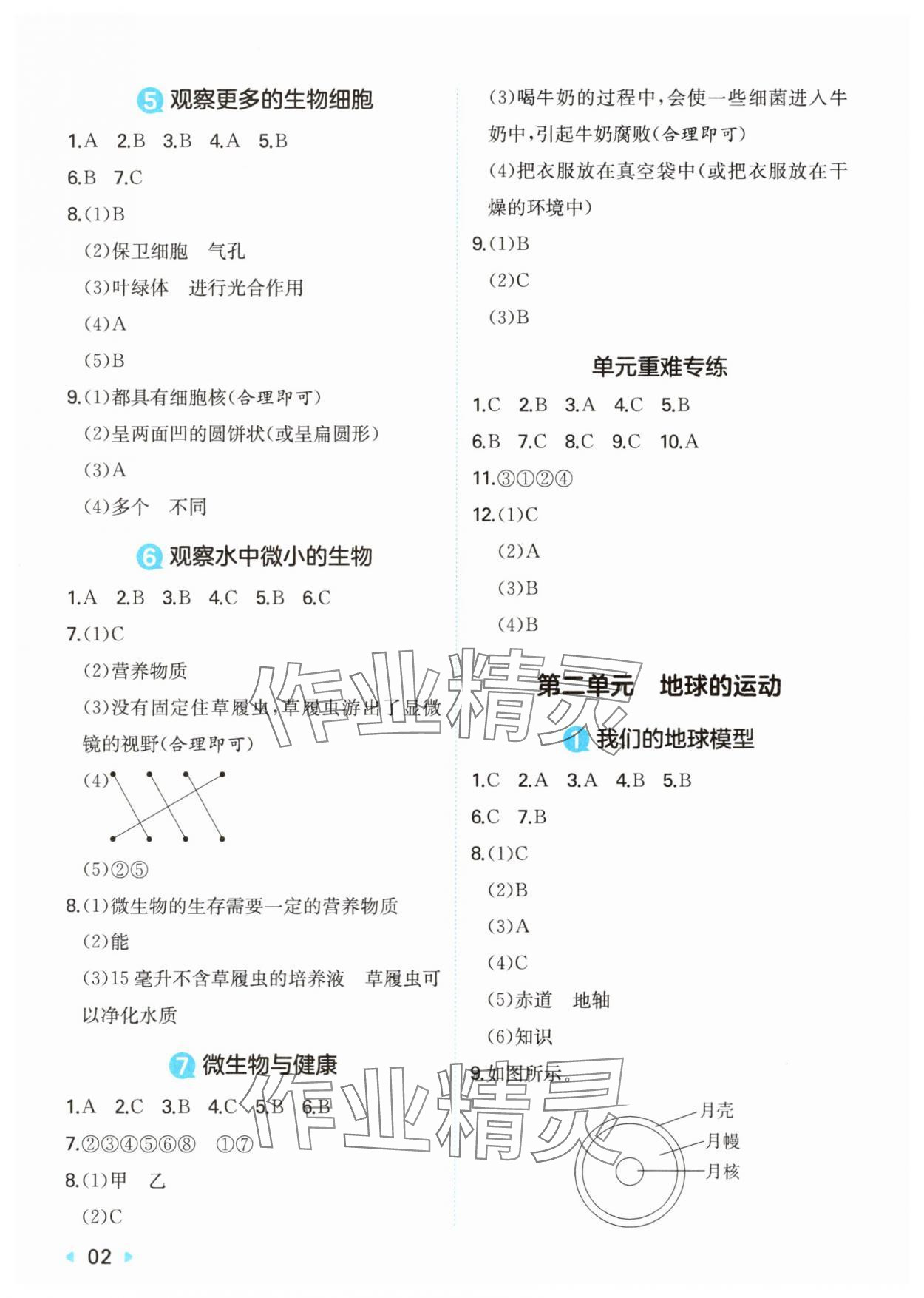2025年一本同步训练六年级科学上册教科版 第2页