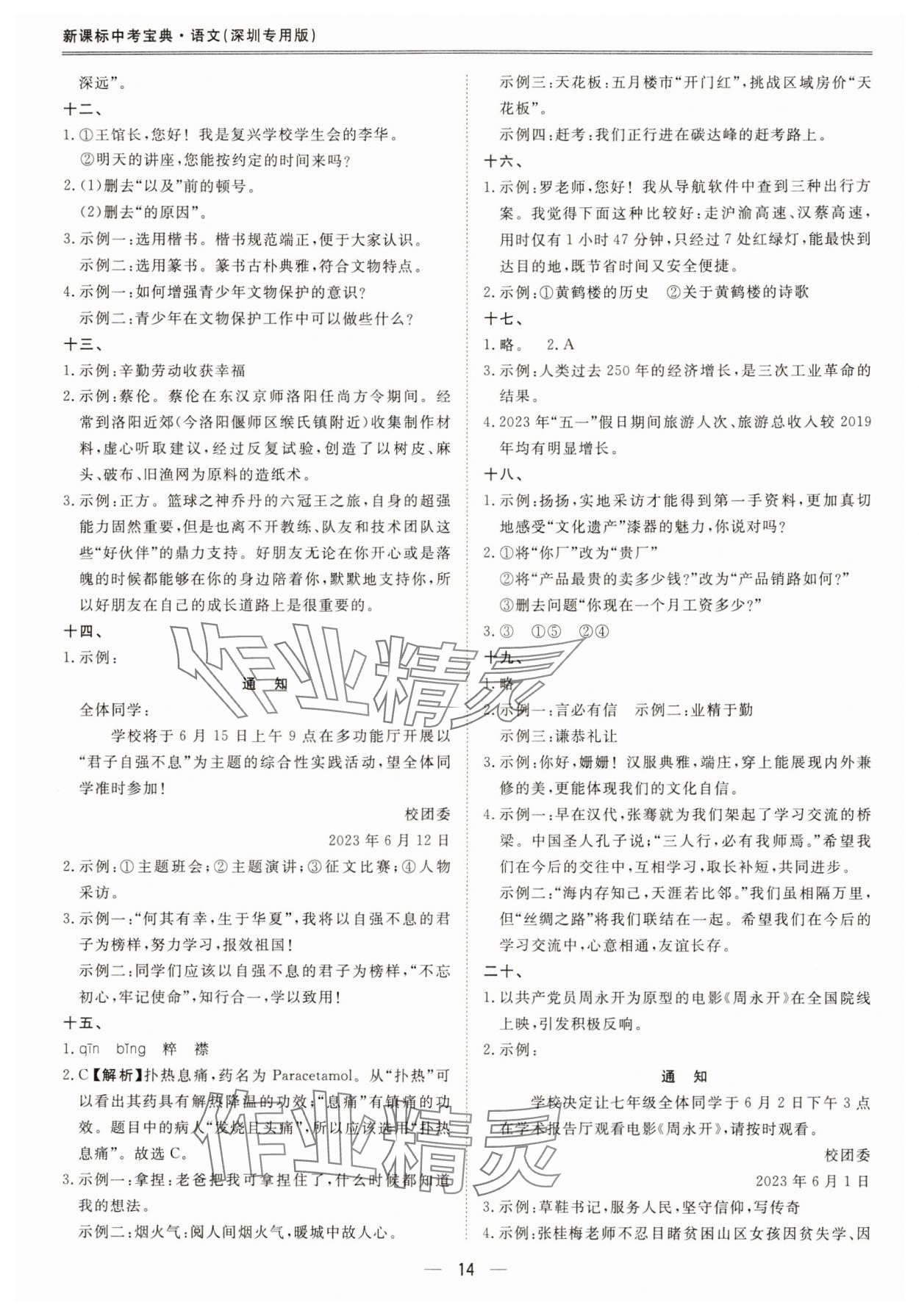 2024年新课标中考宝典语文深圳专用 第14页