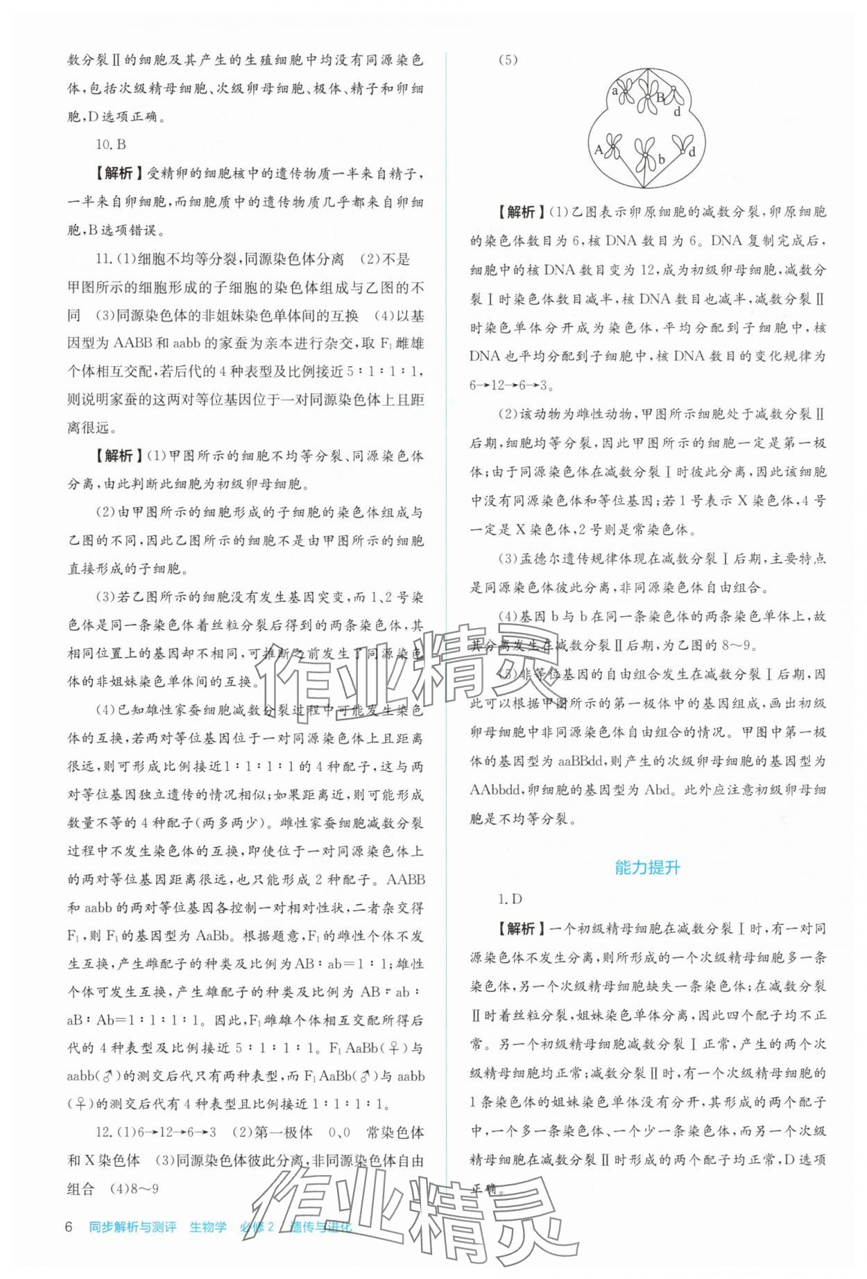 2025年人教金學典同步解析與測評高中生物必修2人教版 第6頁