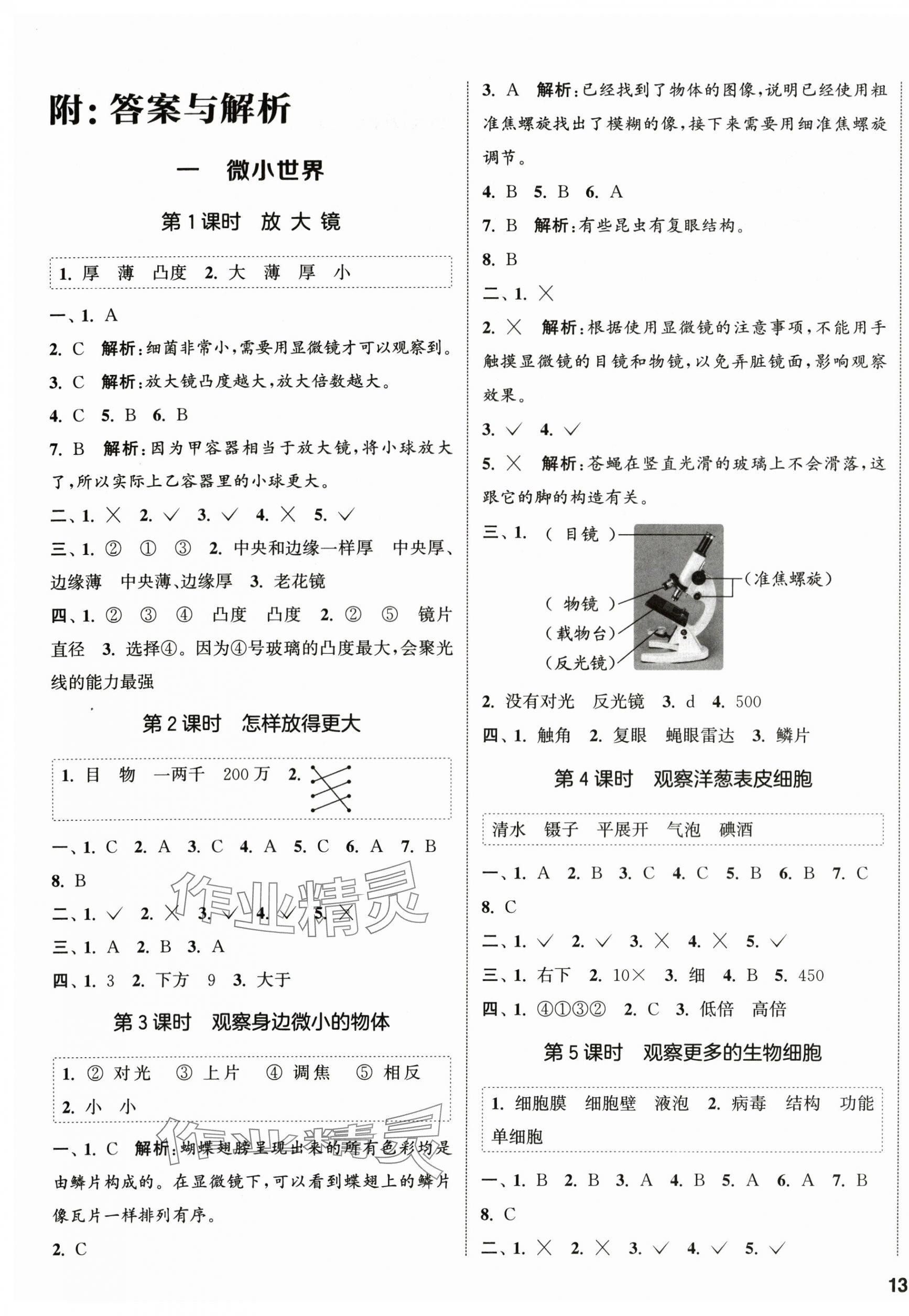 2025年课时分层作业本六年级科学上册教科版 第1页