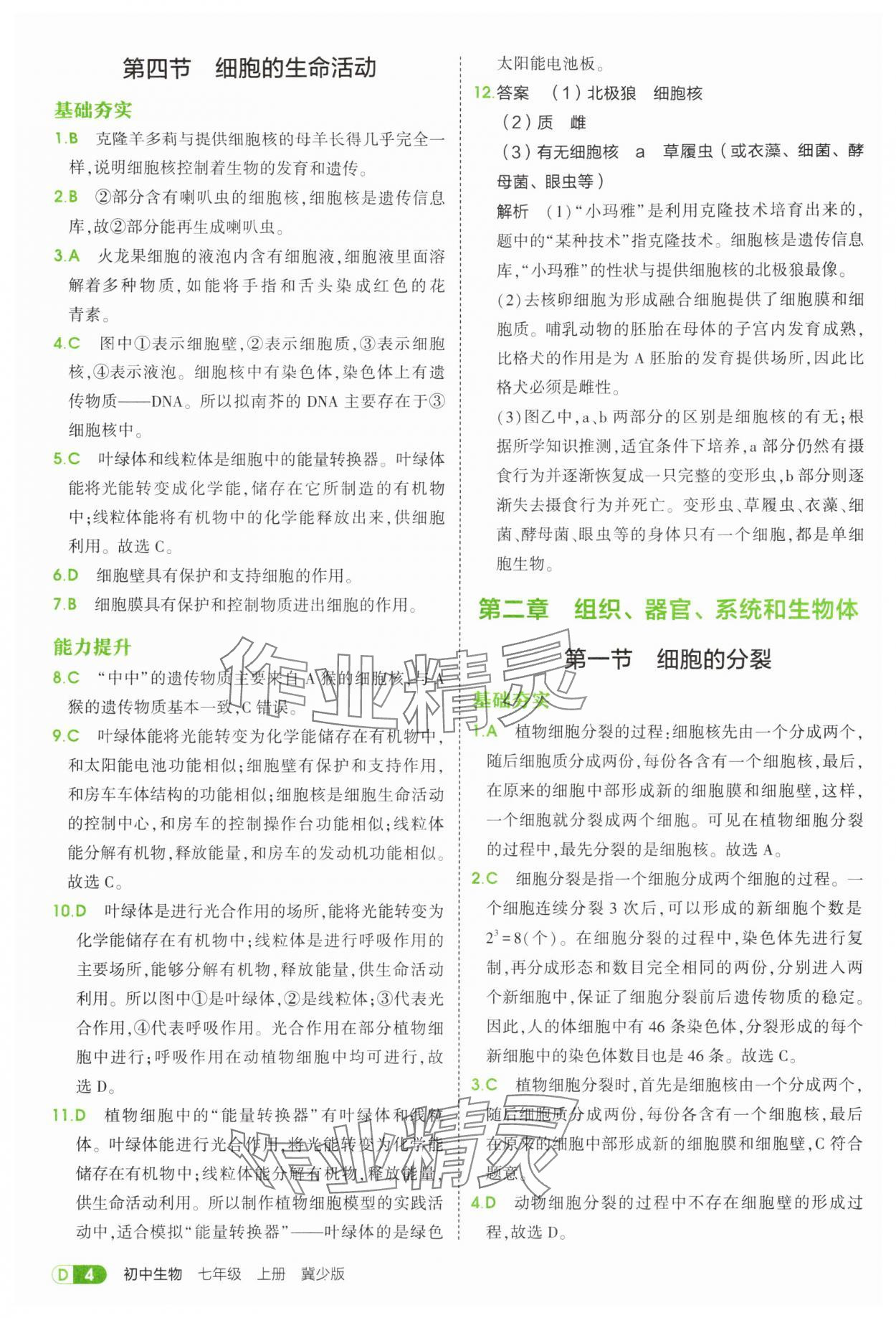 2025年5年中考3年模拟七年级生物上册冀少版 第4页