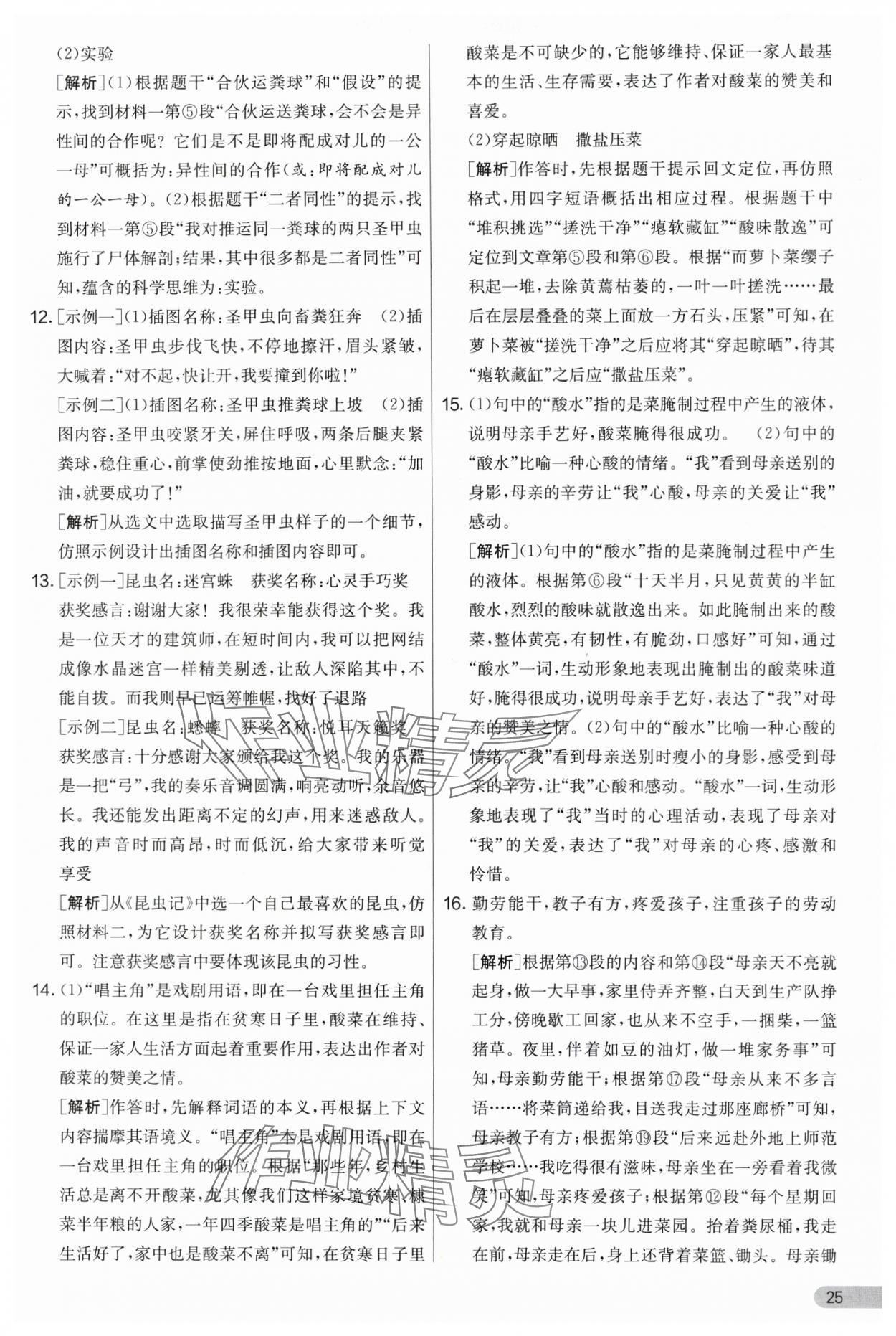 2024年實(shí)驗(yàn)班提優(yōu)大考卷八年級(jí)語文上冊人教版 第25頁