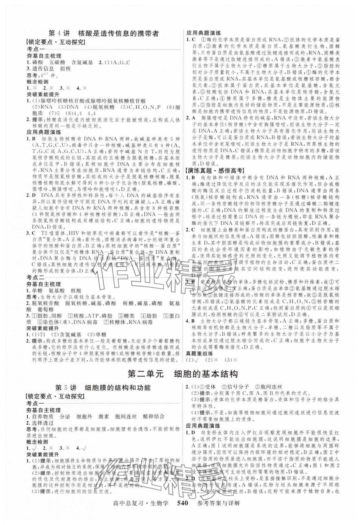 2024年三维设计生物 参考答案第4页