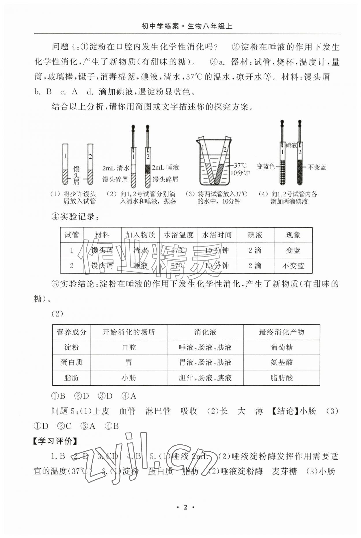 2026年初中学练案八年级生物上册苏教版&nbsp;参考答案第2页