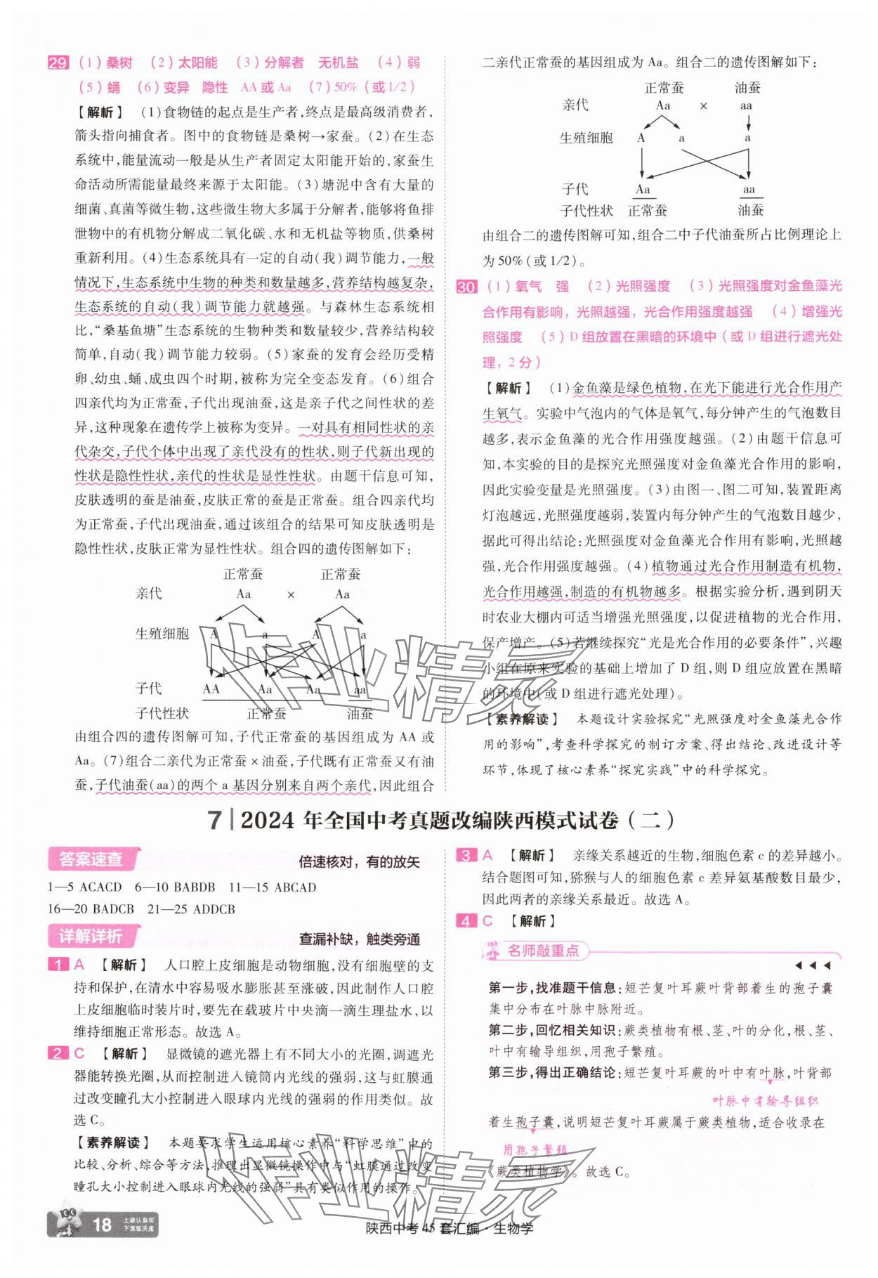 2025年金考卷45套匯編生物中考人教版陜西專版 參考答案第18頁