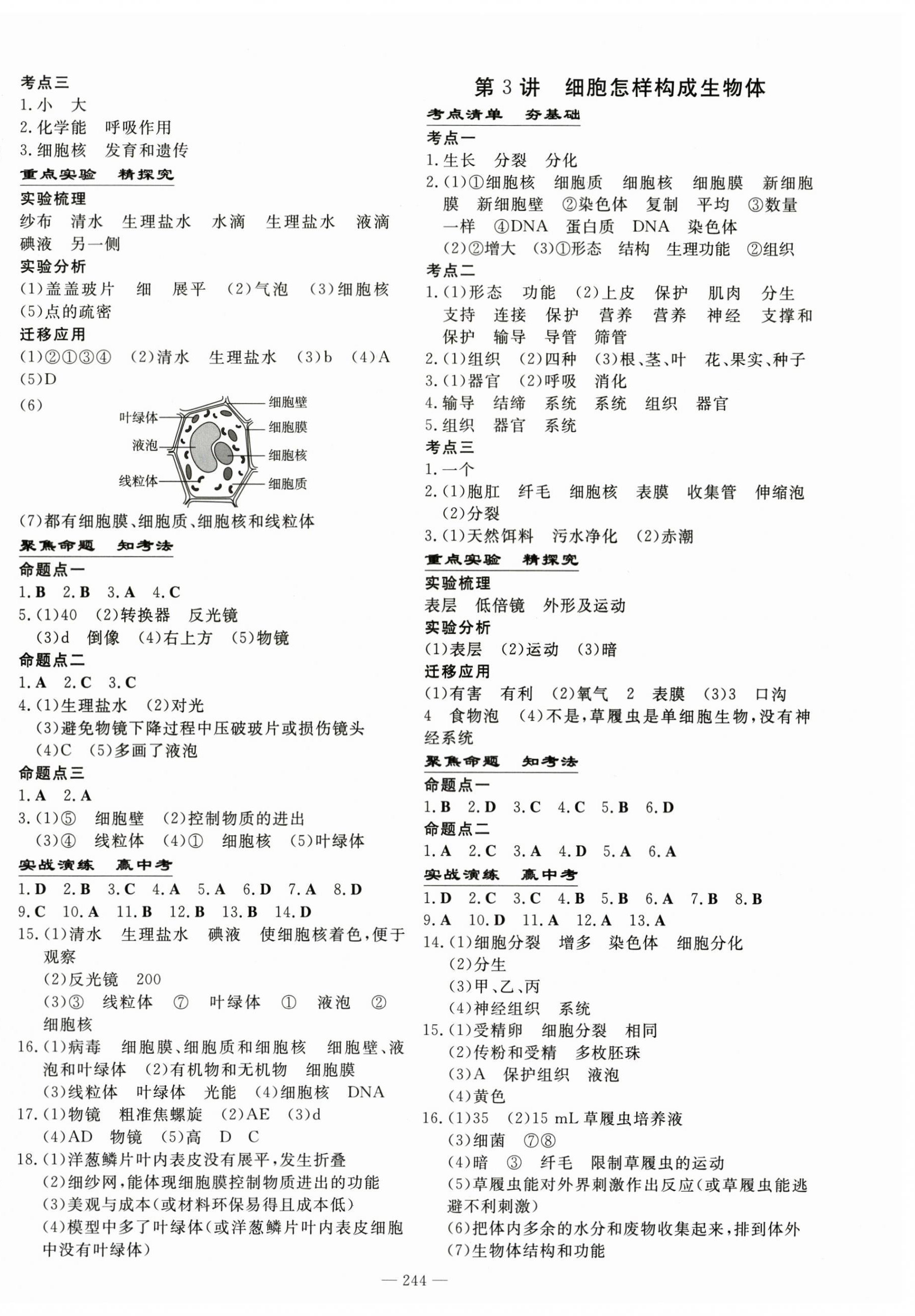 2025年中考總復習導與練生物 第2頁