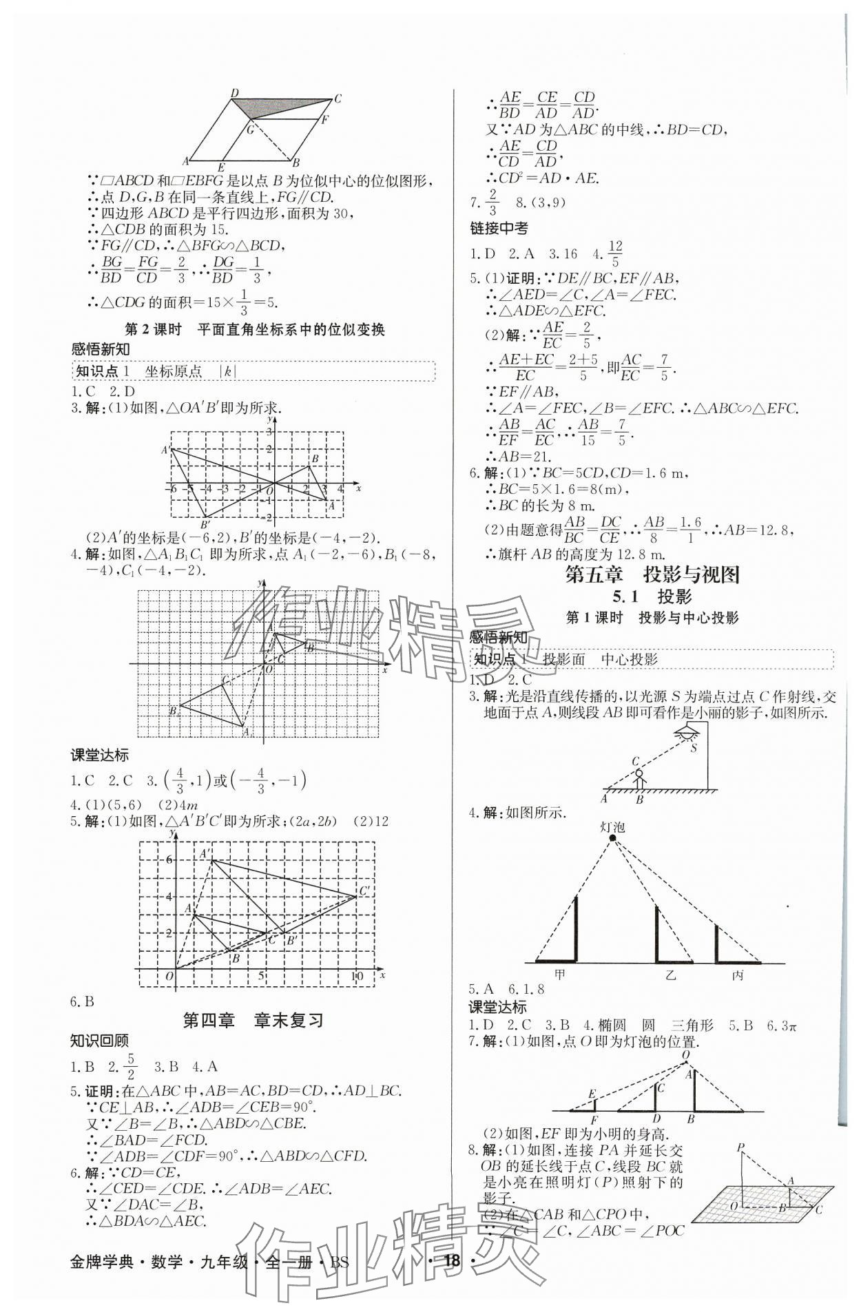 2023年金牌學典九年級數學全一冊北師大版 參考答案第18頁