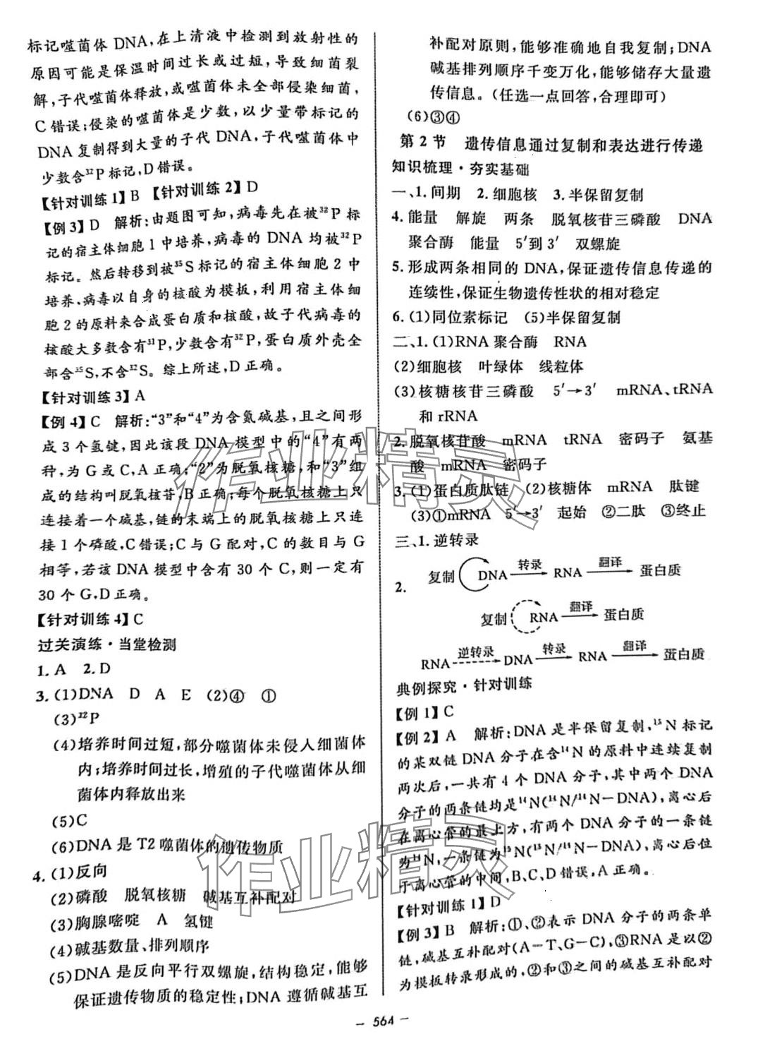 2024年鐘書金牌金典導(dǎo)學(xué)案高三生物滬教版上海專版 第10頁