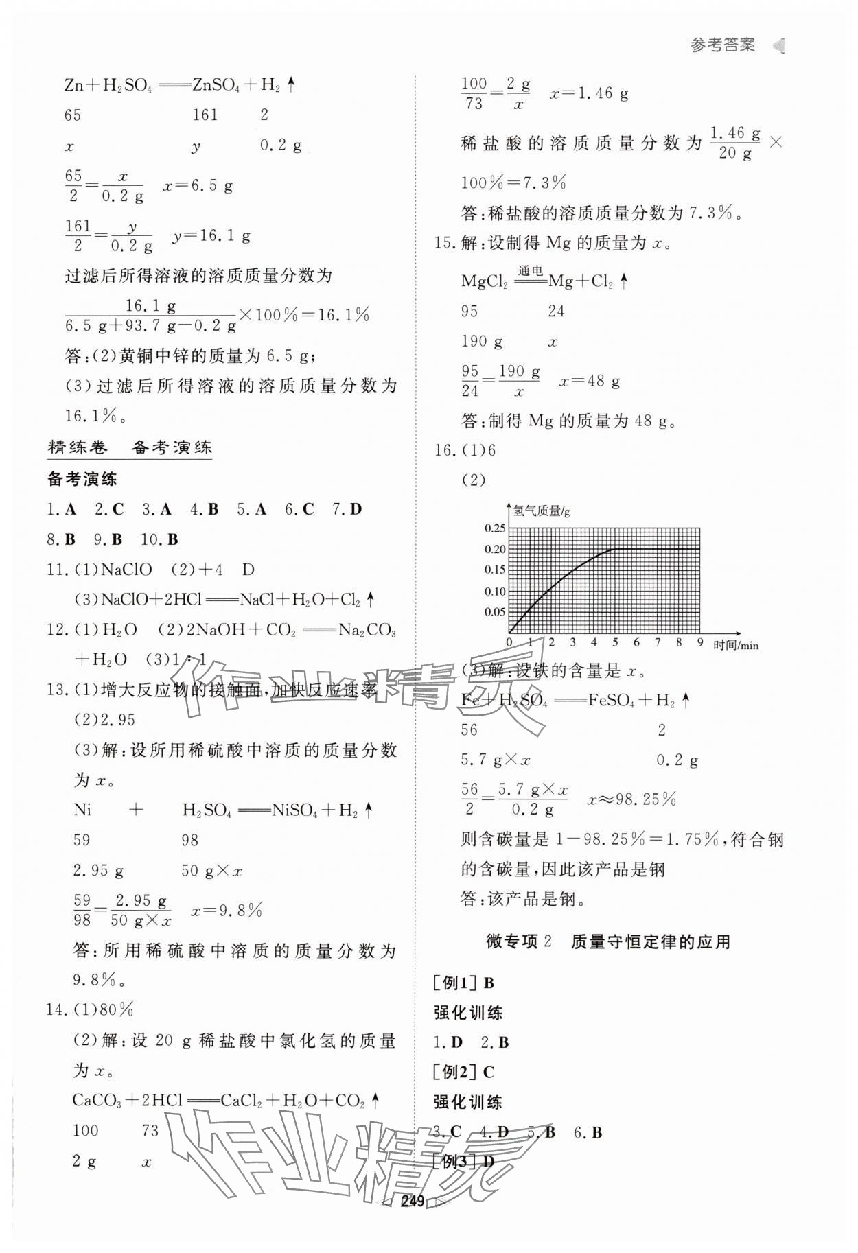 2025年初中总复习手册新世纪出版社化学 第7页