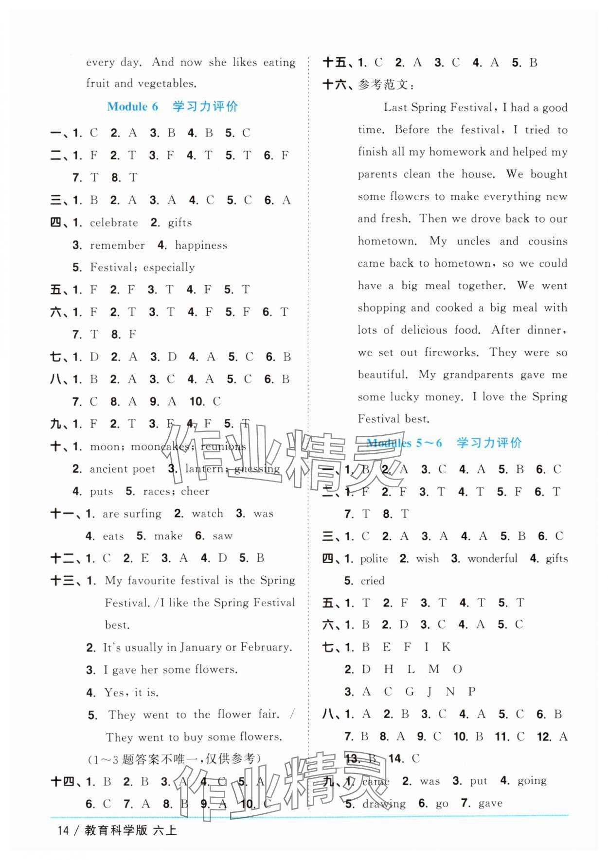 2025年阳光同学课时优化作业六年级英语上册教科版广州专版 第14页