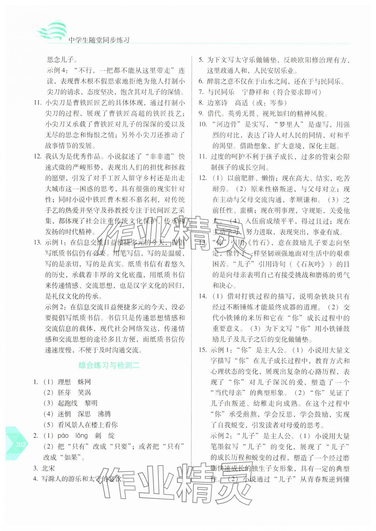 2025年随堂同步练习九年级语文下册人教版 参考答案第7页
