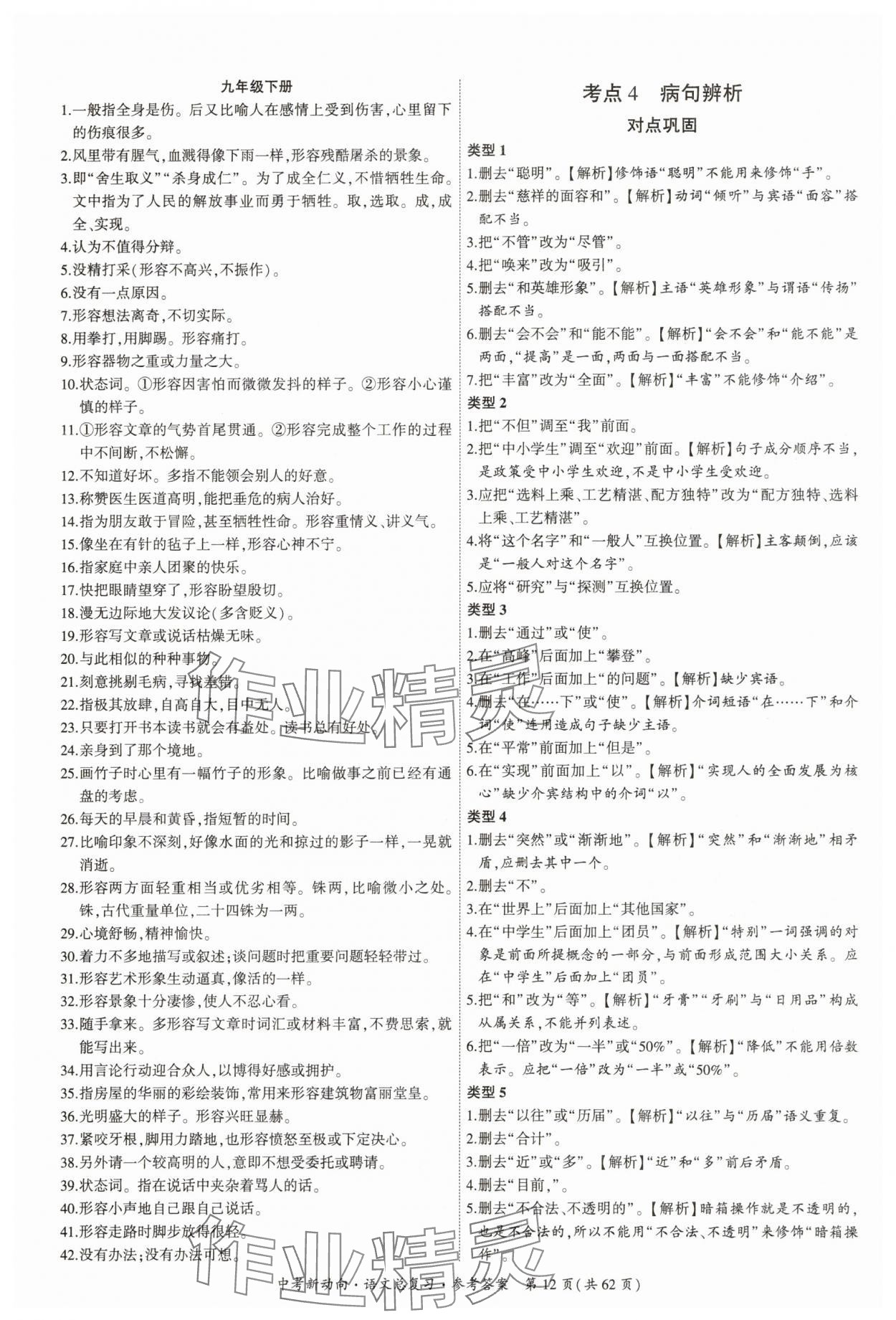 2025年中考新動向語文廣東專版 參考答案第12頁